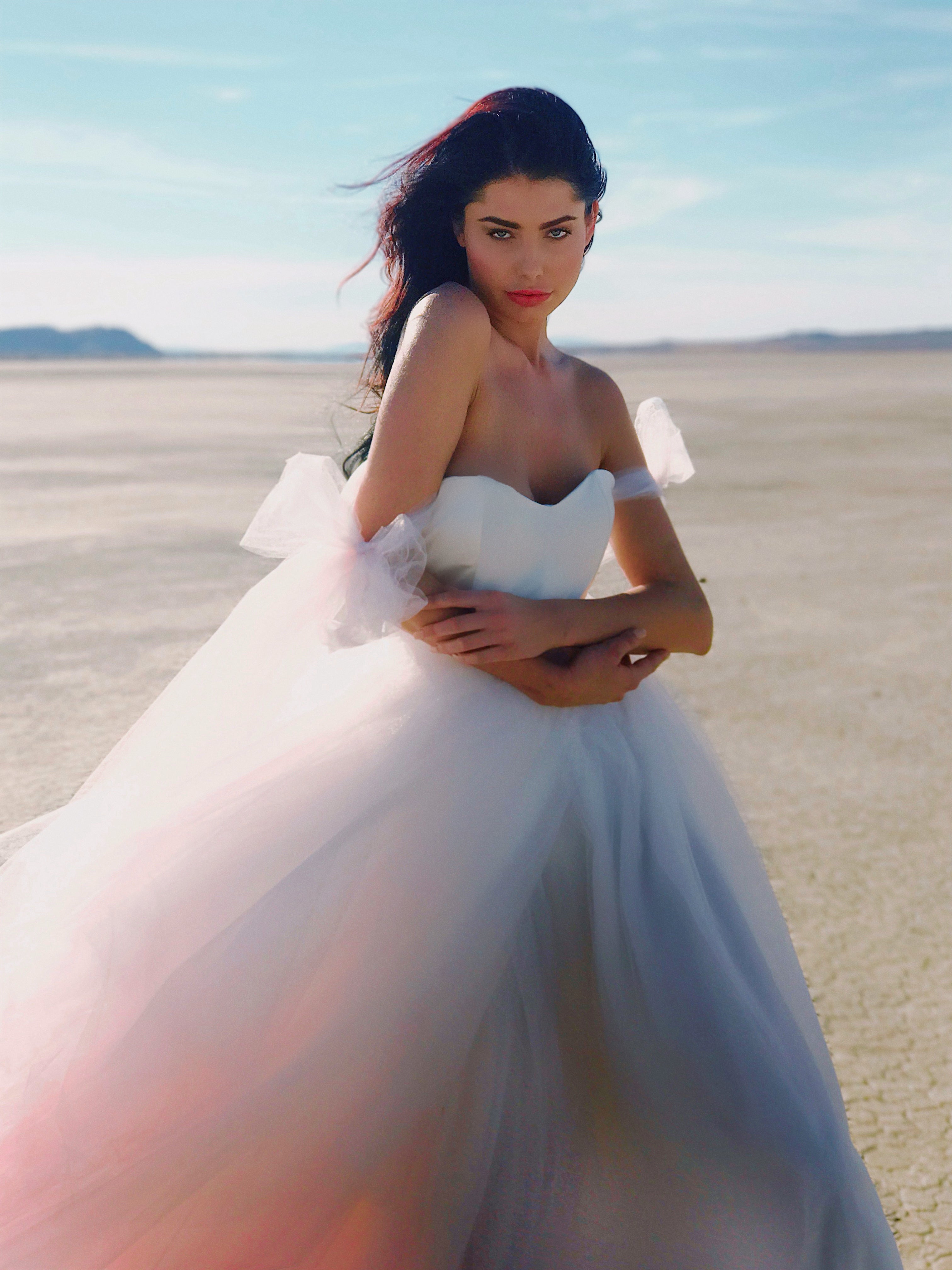 Detachable tulle sleeves for wedding dress with blush ombre skirt