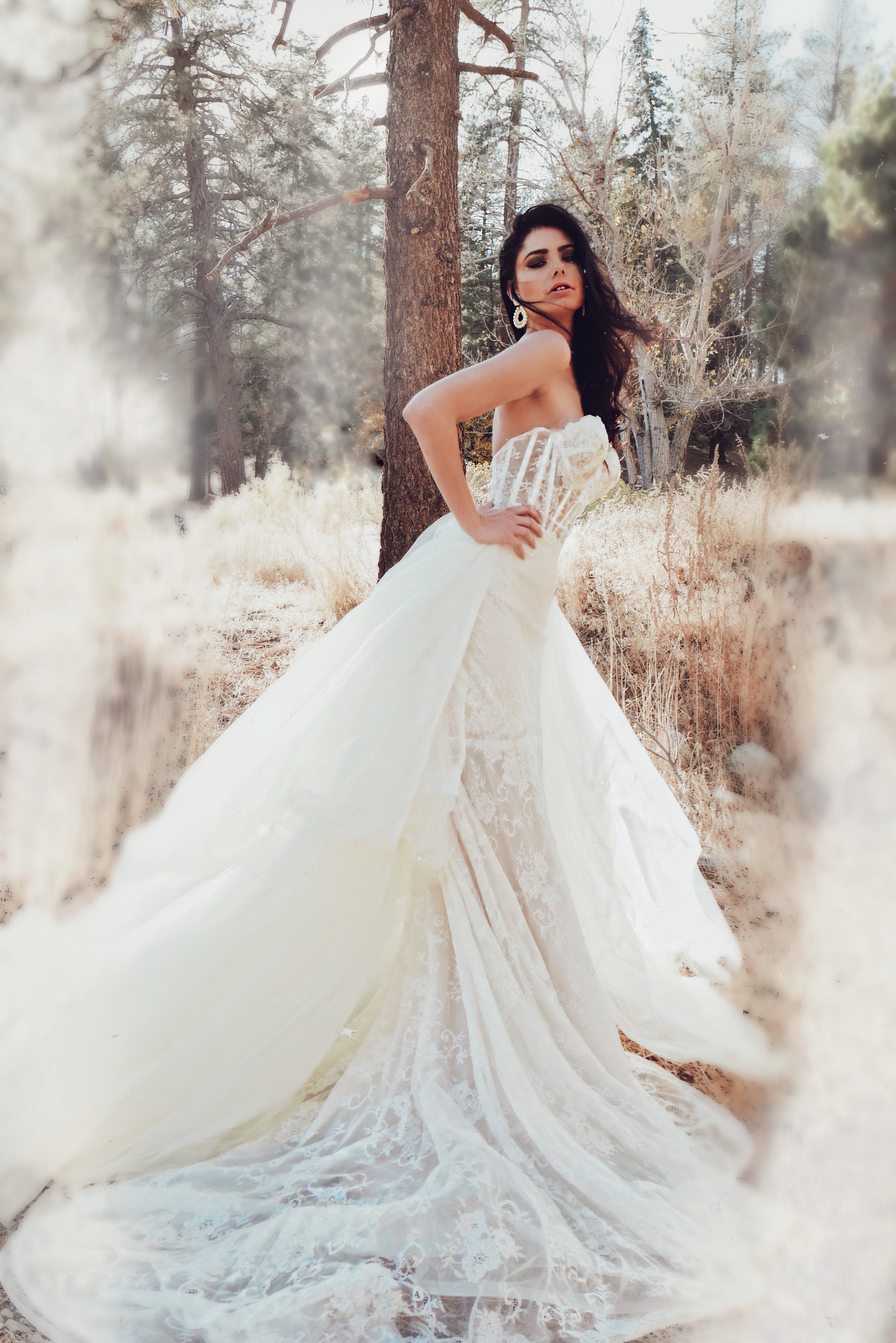 Chantilly Lace Corset Trumpet Wedding Dress with detachable overskirt by Lauren Elaine