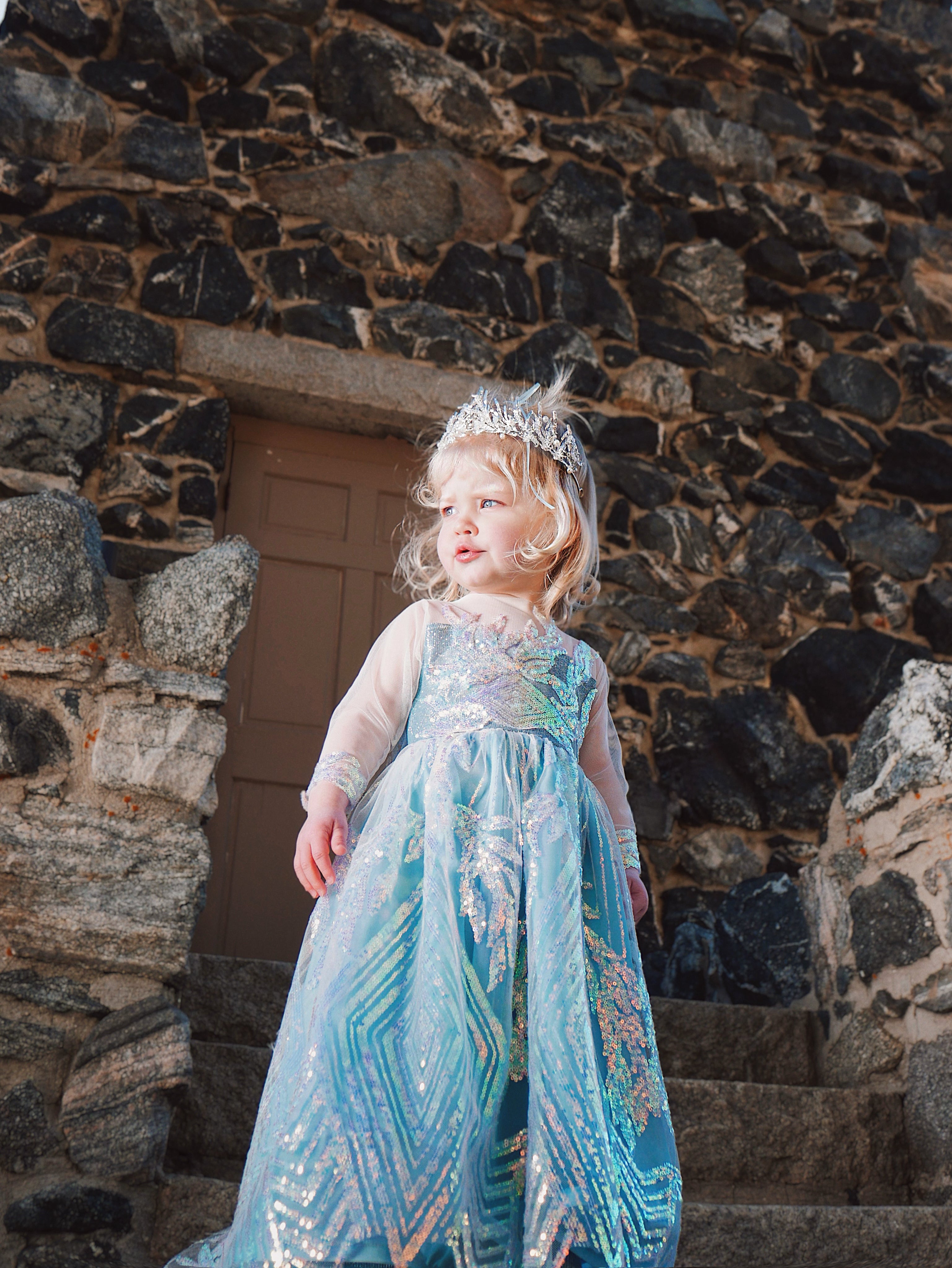 Children's dress up special occasion Elsa Snow Queen Princess Dress