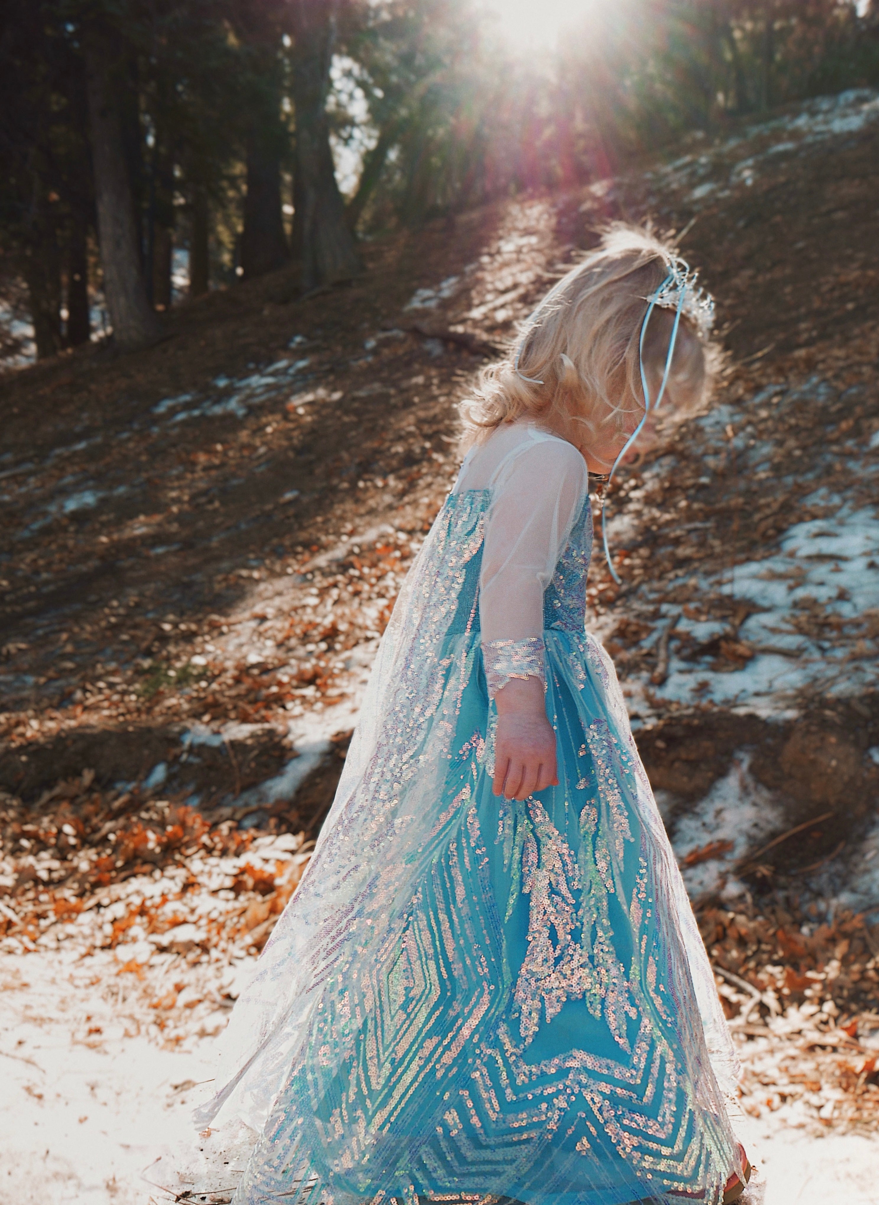 Lauren Elaine Elsa Snow Queen Princess Dress with Train and Cape