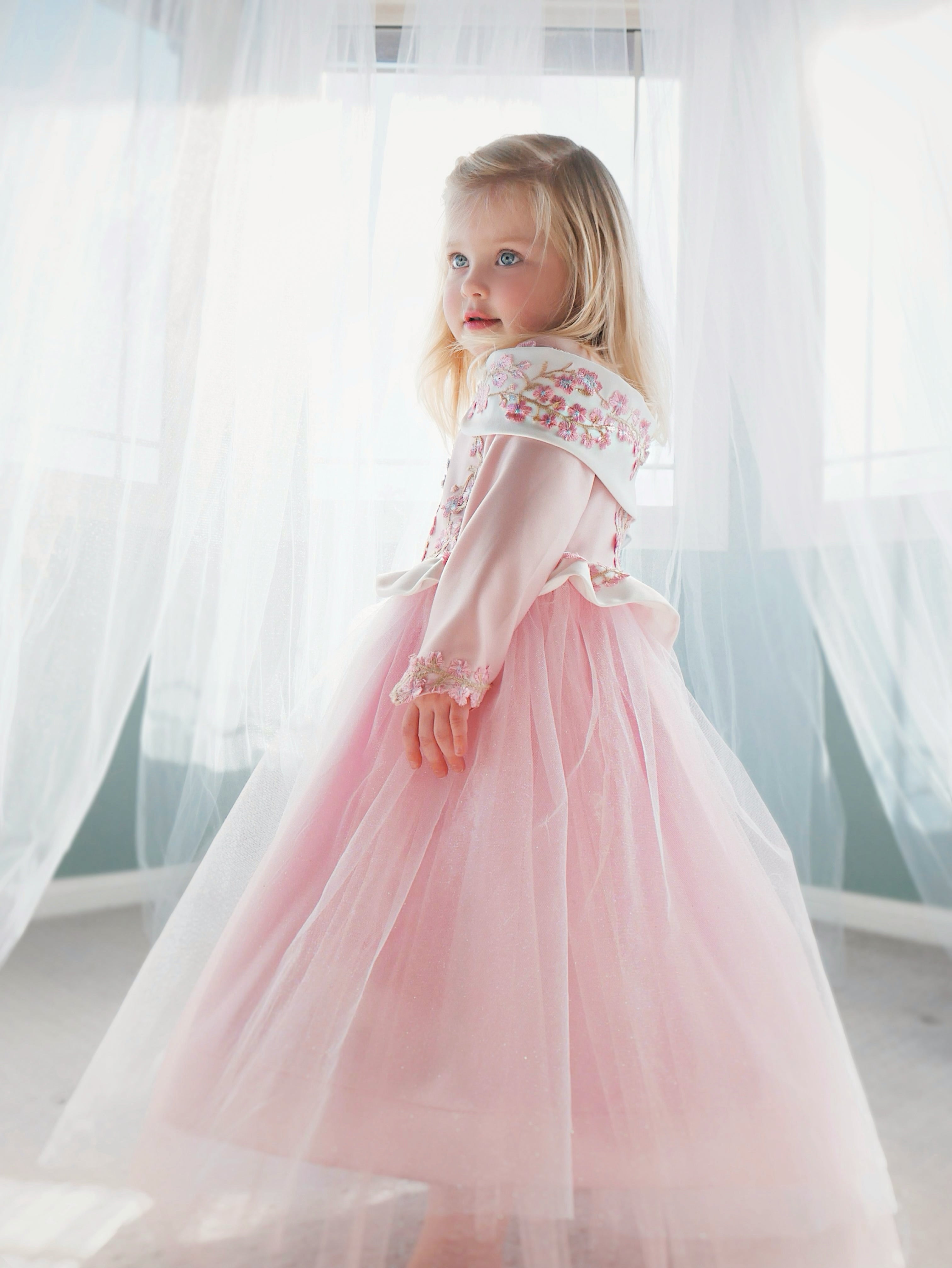 Lauren Elaine Sleeping Beauty Princess Dress for girls in 'Make it Blue Make it Pink' Colors