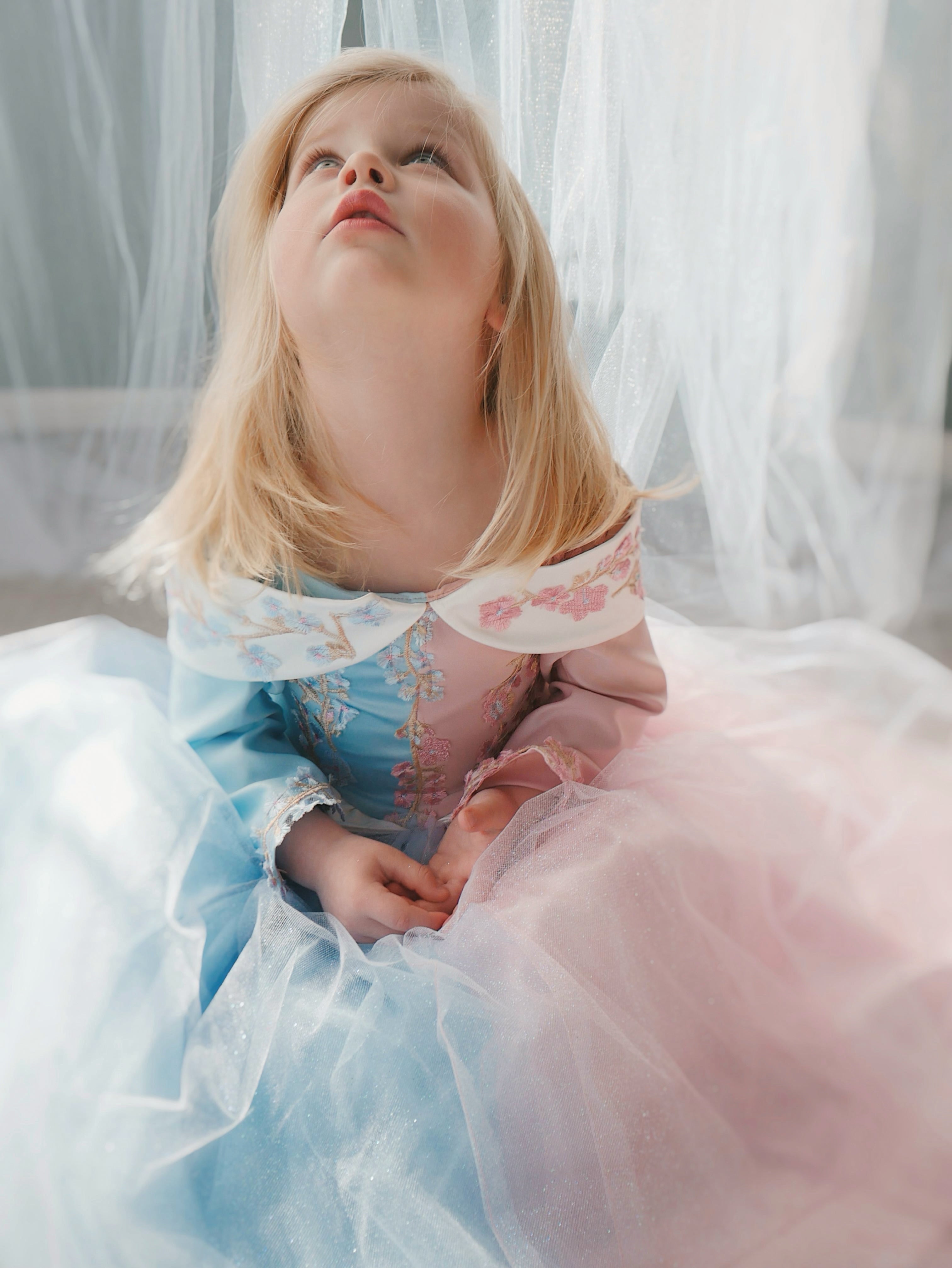Lauren Elaine Sleeping Beauty Princess Dress for girls in 'Make it Blue Make it Pink' Colors