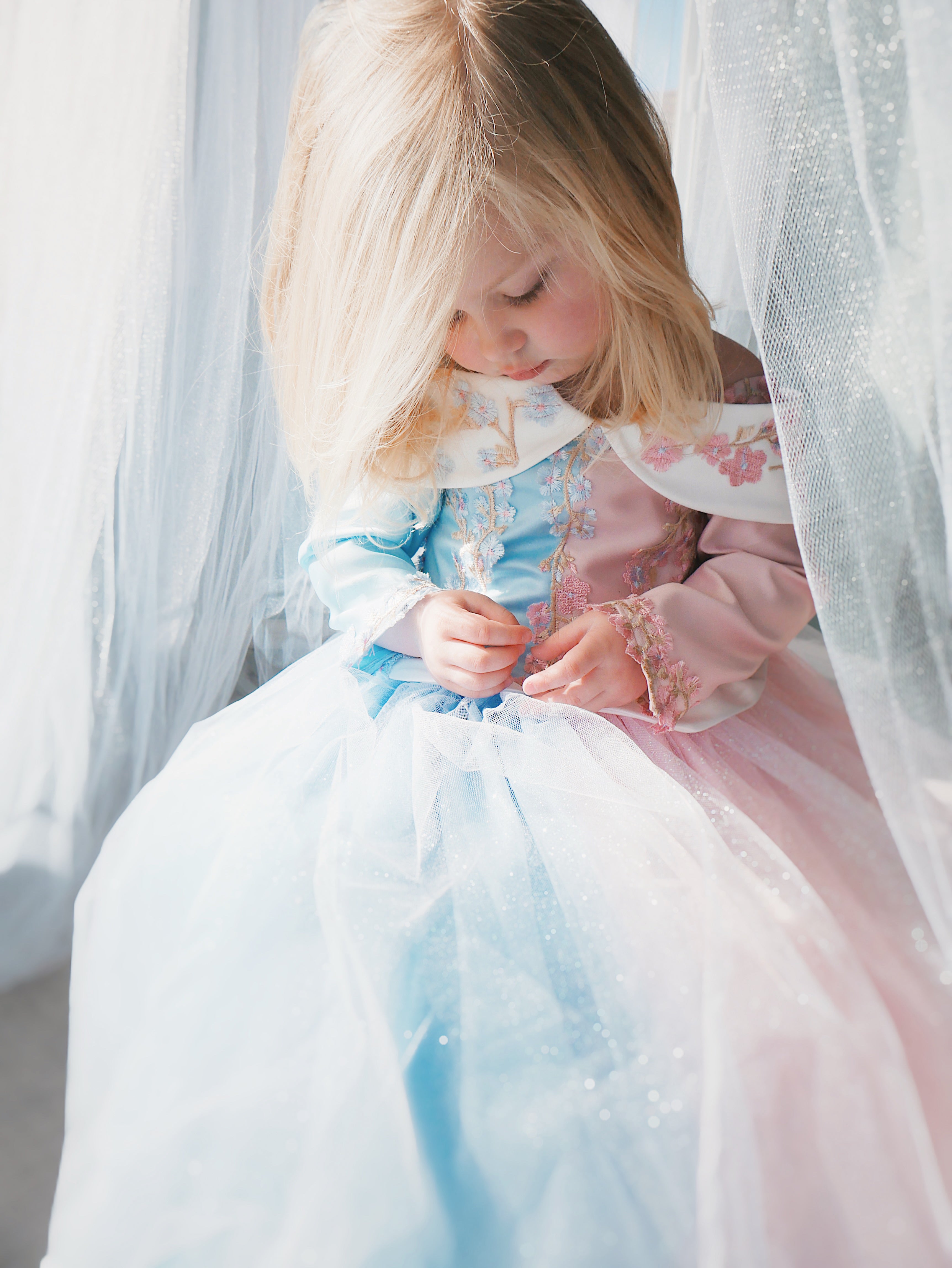 Lauren Elaine Sleeping Beauty Princess Dress for girls in 'Make it Blue Make it Pink' Colors