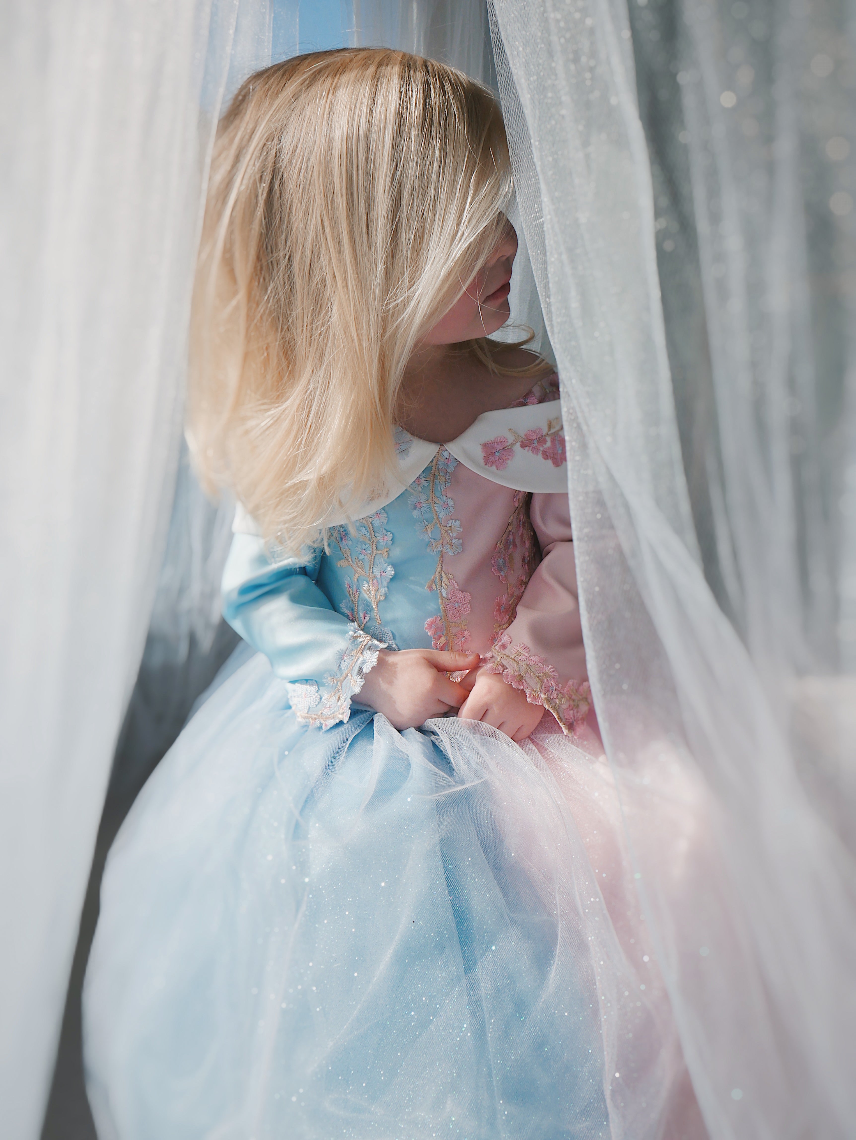 Lauren Elaine Sleeping Beauty Princess Dress for girls in 'Make it Blue Make it Pink' Colors