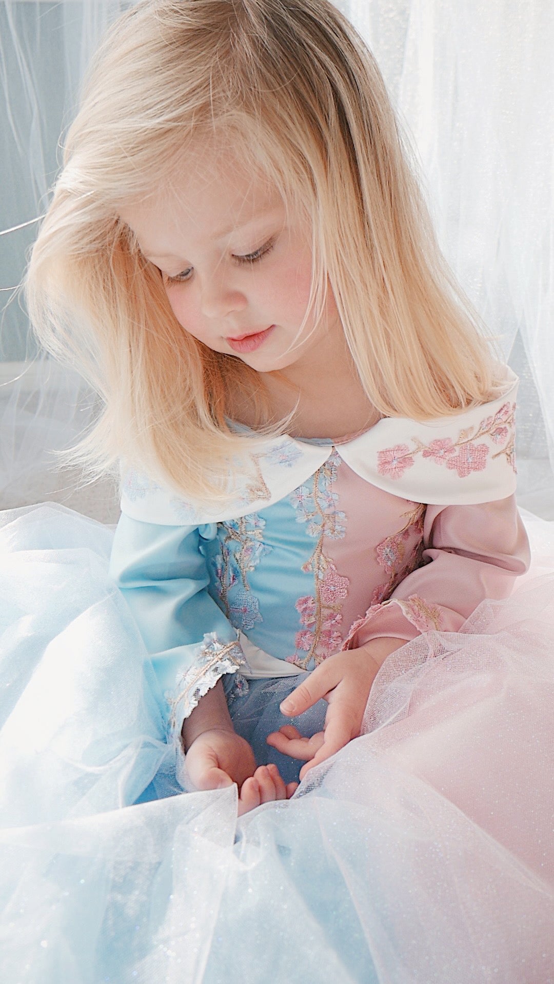Lauren Elaine Sleeping Beauty Princess Dress for girls in 'Make it Blue Make it Pink' Colors