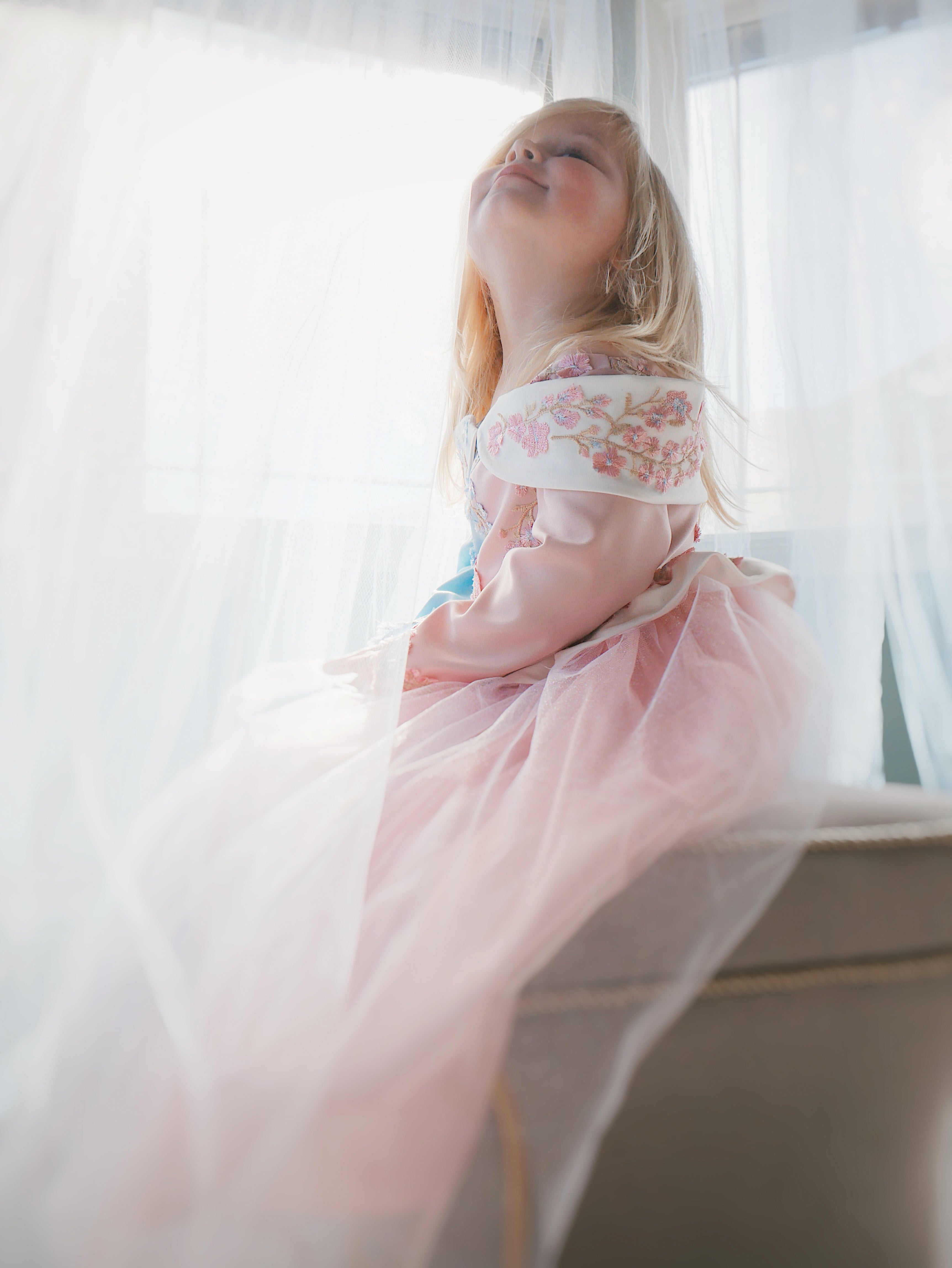 Lauren Elaine Sleeping Beauty Princess Dress for girls in 'Make it Blue Make it Pink' Colors