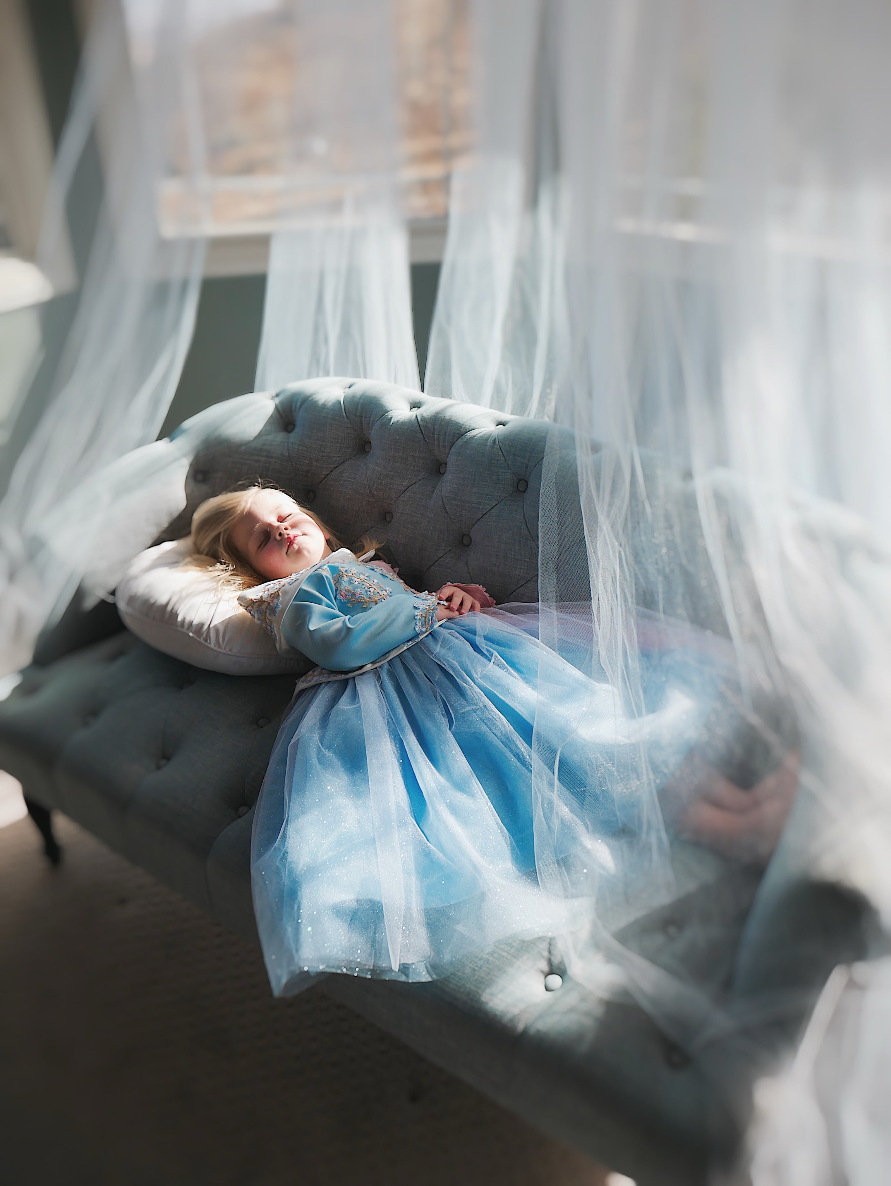 Lauren Elaine Sleeping Beauty Princess Dress for girls in 'Make it Blue Make it Pink' Colors