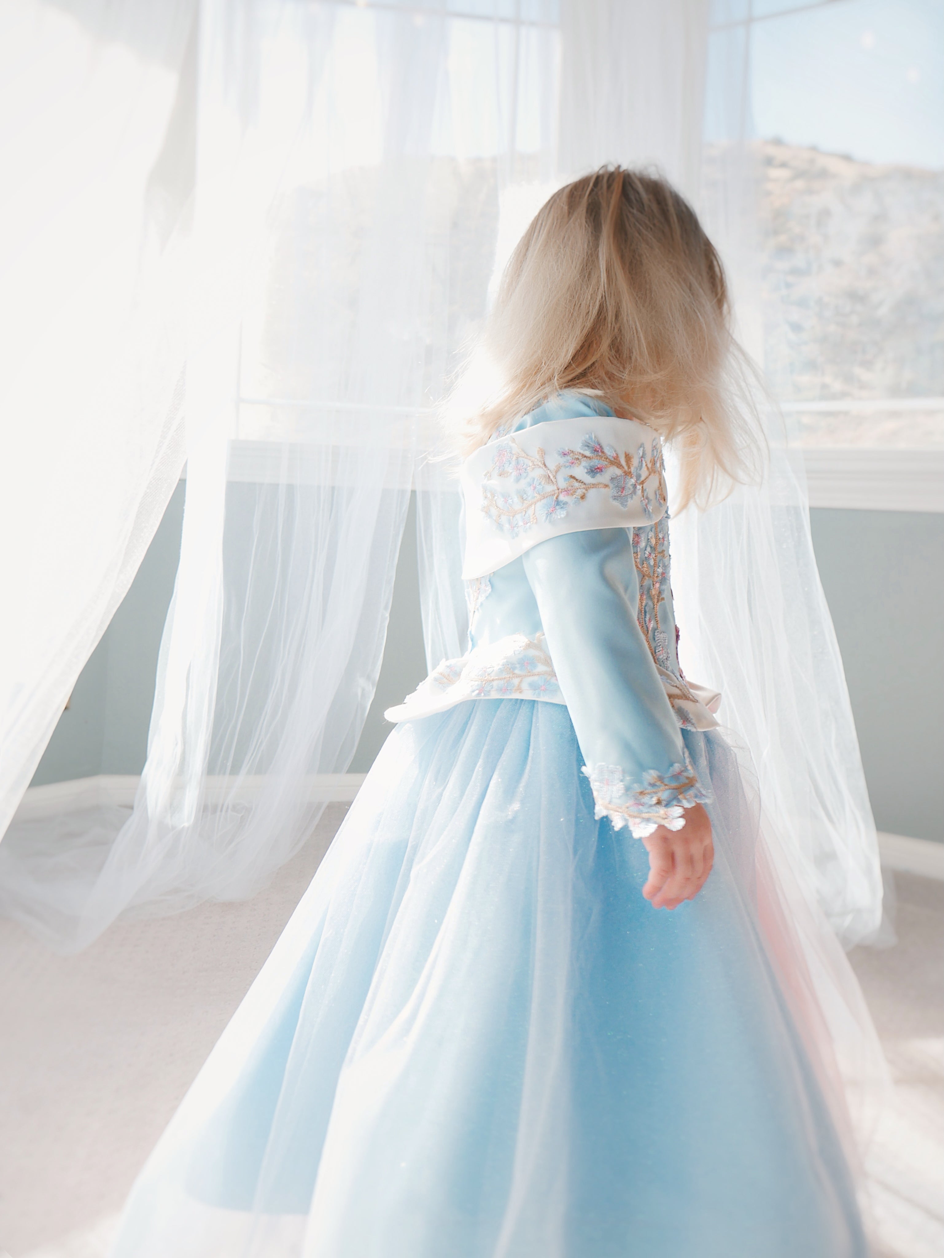 Lauren Elaine Sleeping Beauty Princess Dress for girls in 'Make it Blue Make it Pink' Colors