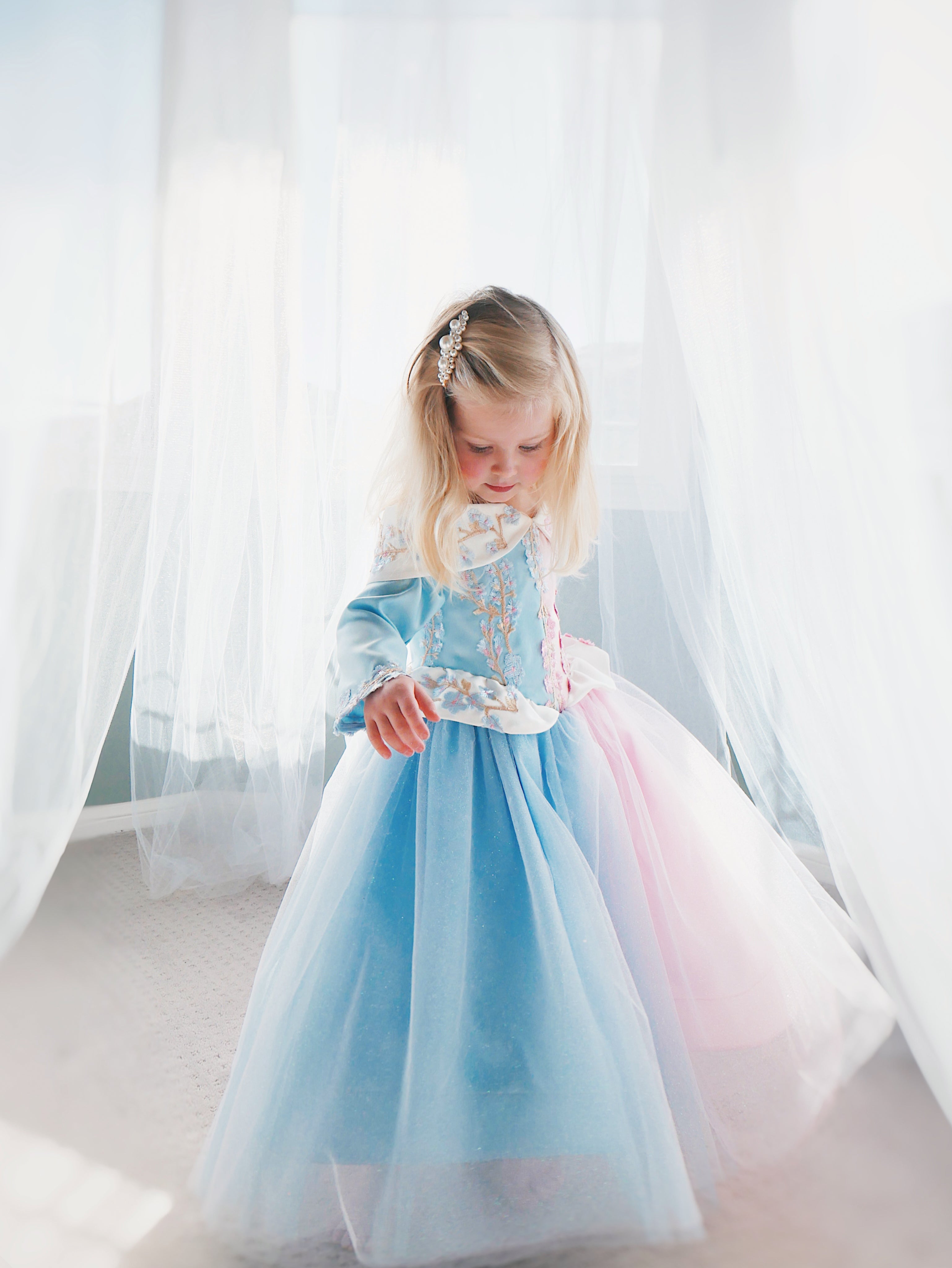Lauren Elaine Sleeping Beauty Princess Dress for girls in 'Make it Blue Make it Pink' Colors