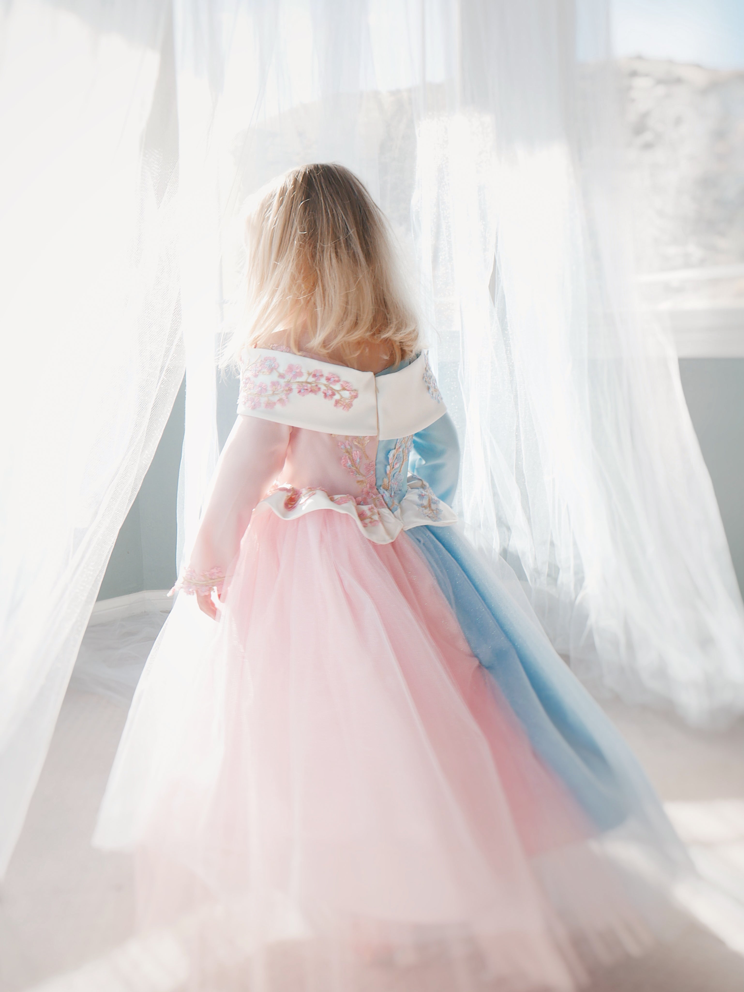 Lauren Elaine Sleeping Beauty Princess Dress for girls in 'Make it Blue Make it Pink' Colors
