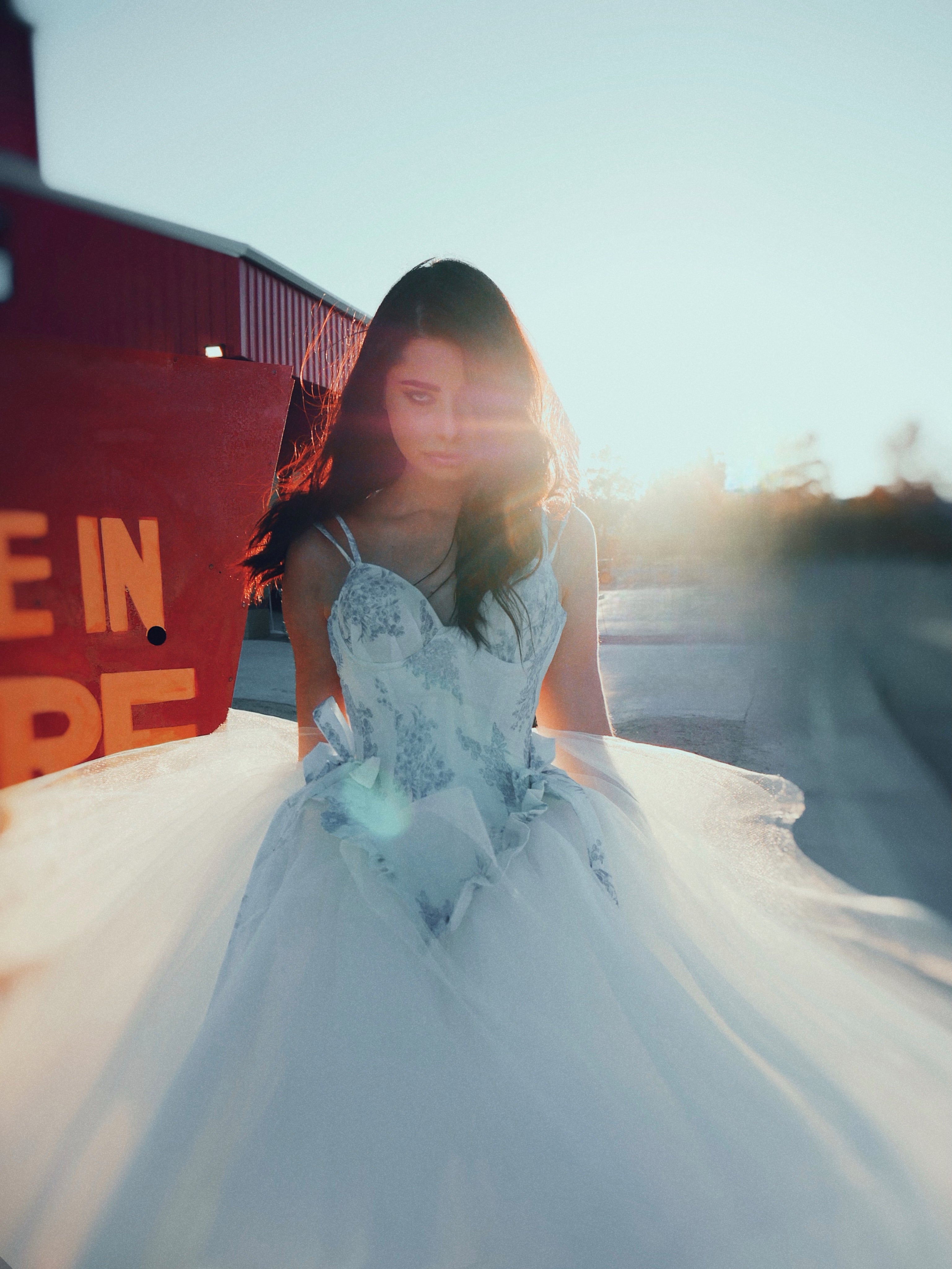 Lauren Elaine Provencia Blue Toile Drop Waist Wedding Dress with Bows