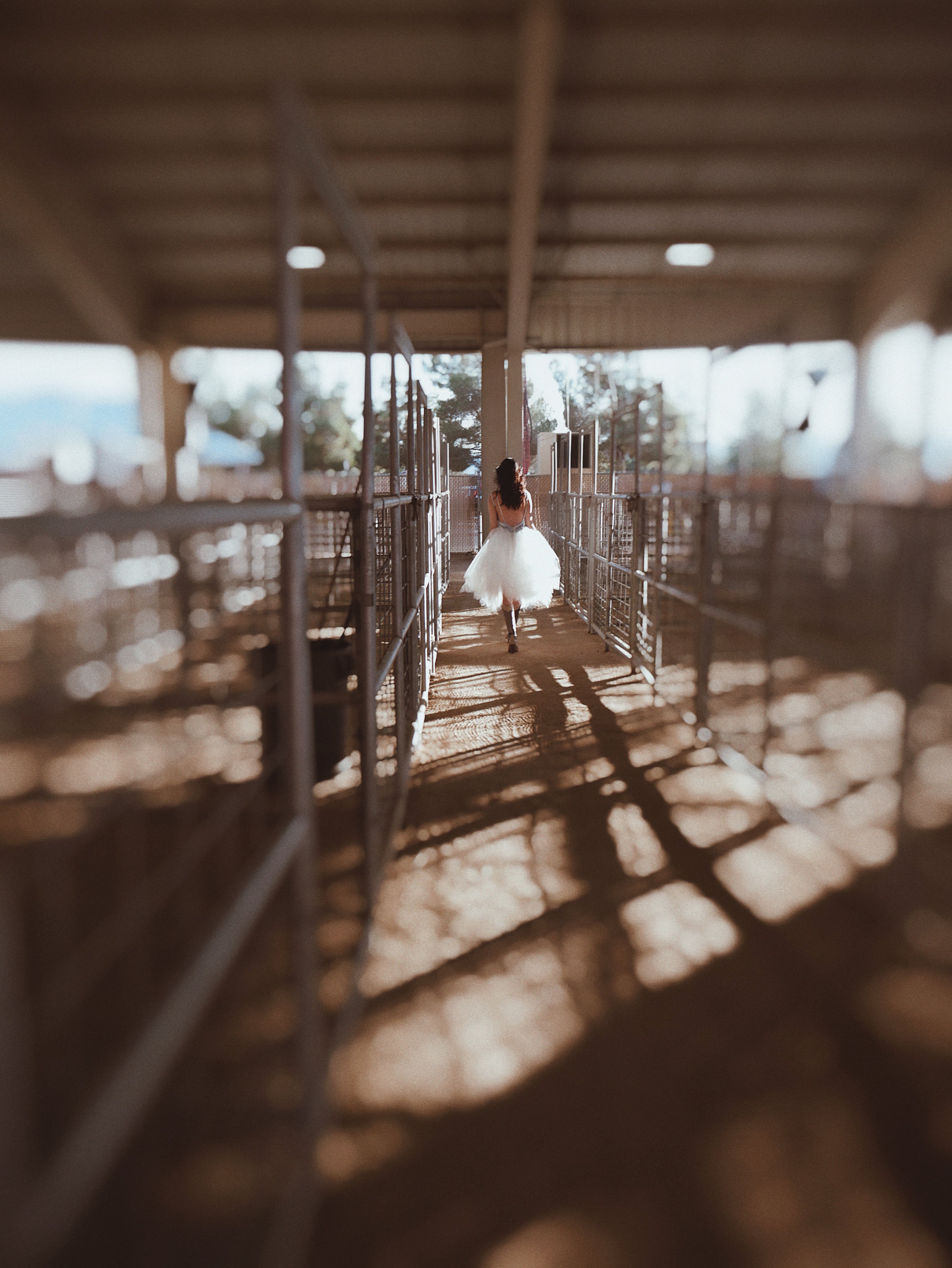 Lauren Elaine Provencia Country Western Blue Toile Wedding Dress