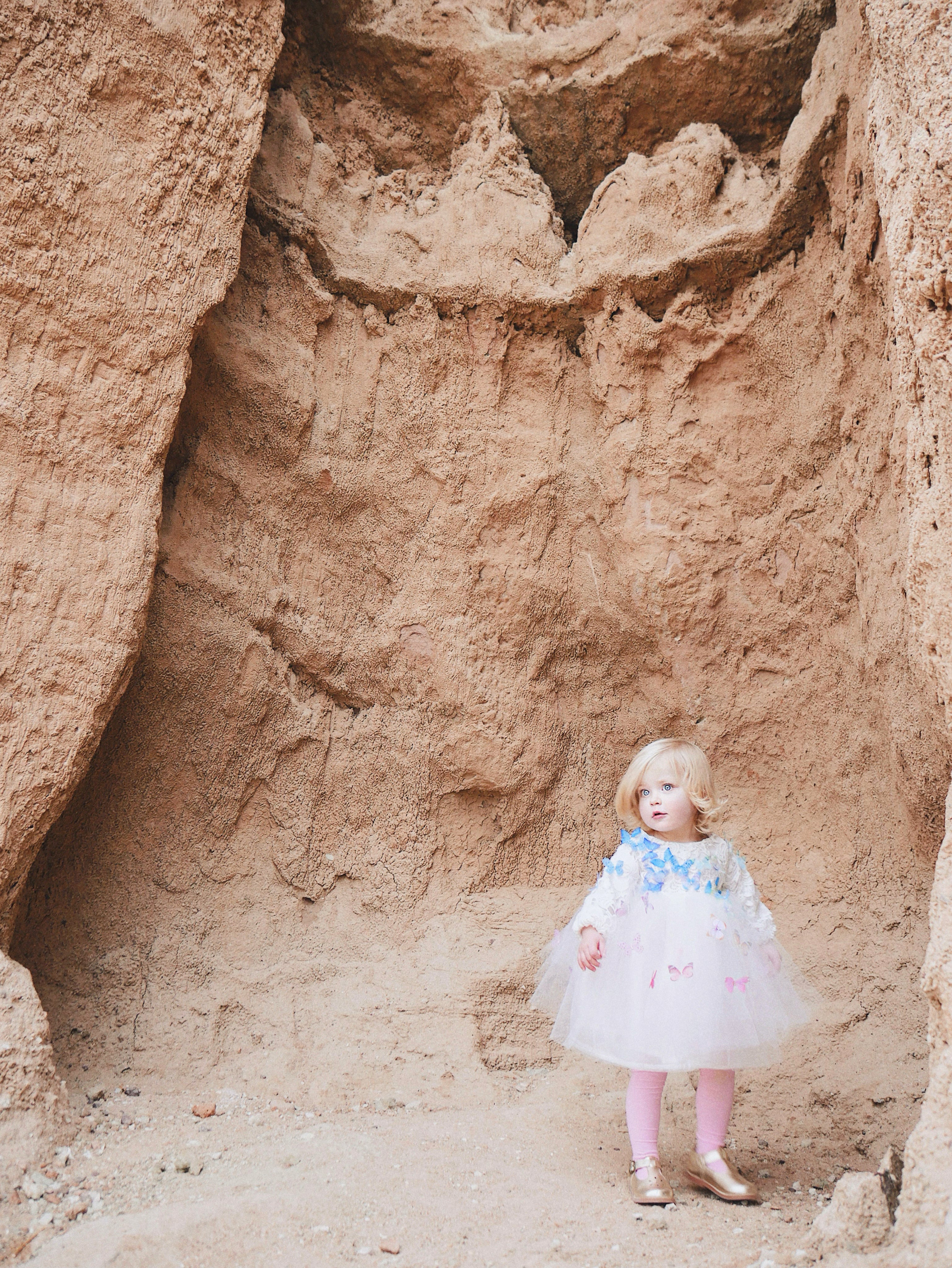 Lauren Elaine Rainbow Butterfly Bouquet Lace Ombré Flower Girl Dress