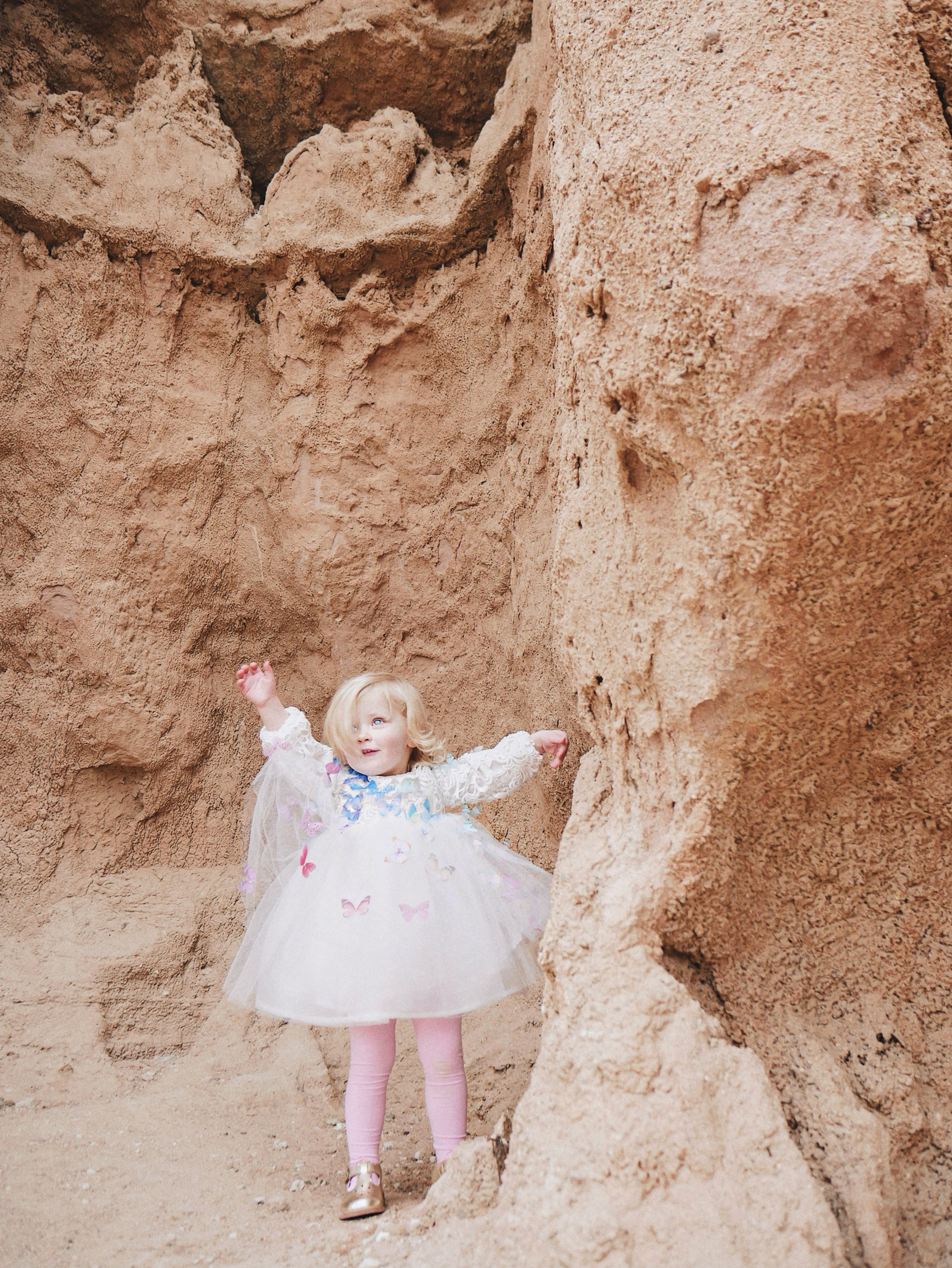 Lauren Elaine Rainbow Butterfly Bouquet Lace Ombré Flower Girl Dress