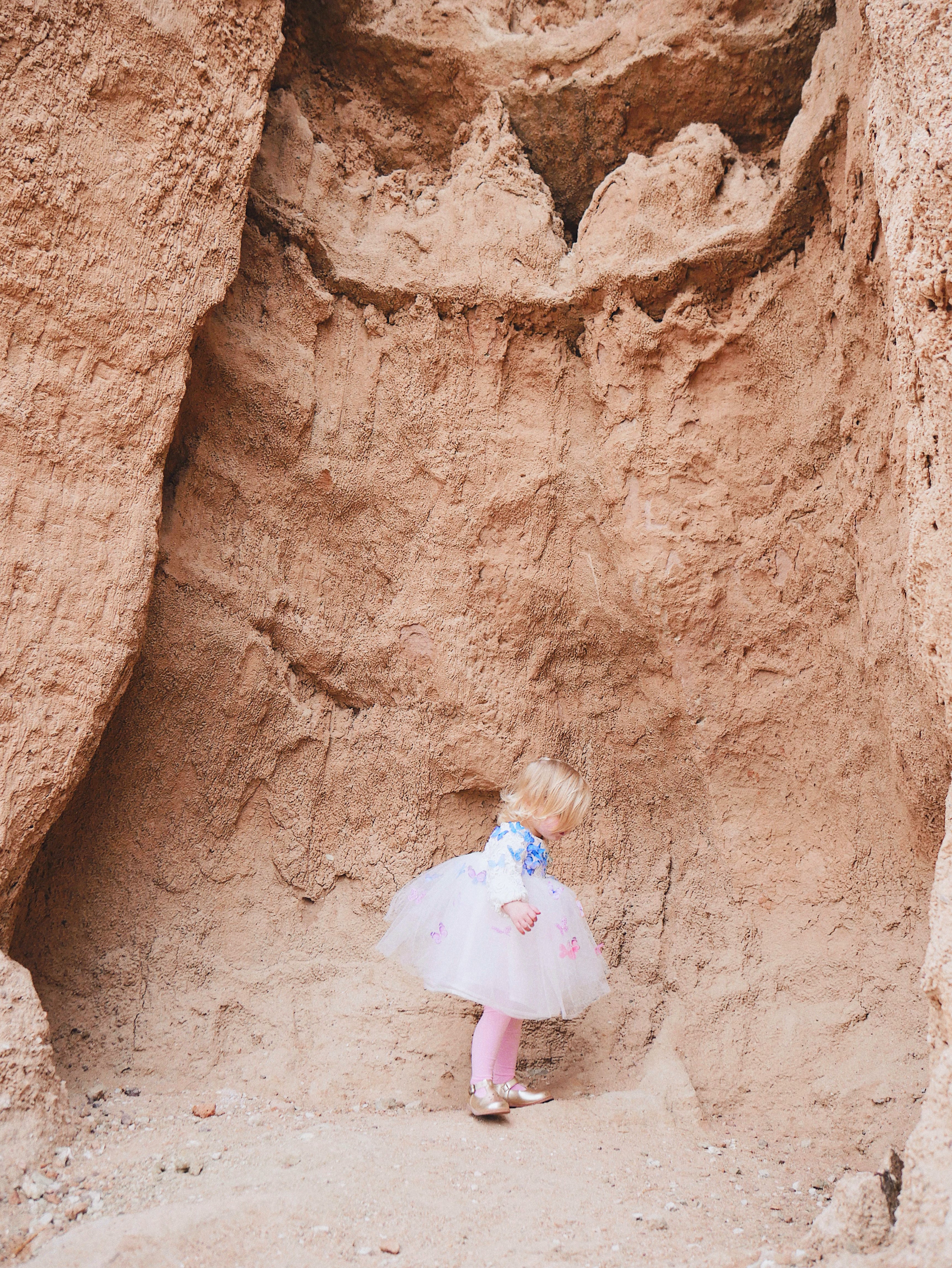Lauren Elaine Rainbow Butterfly Bouquet Lace Ombré Flower Girl Dress