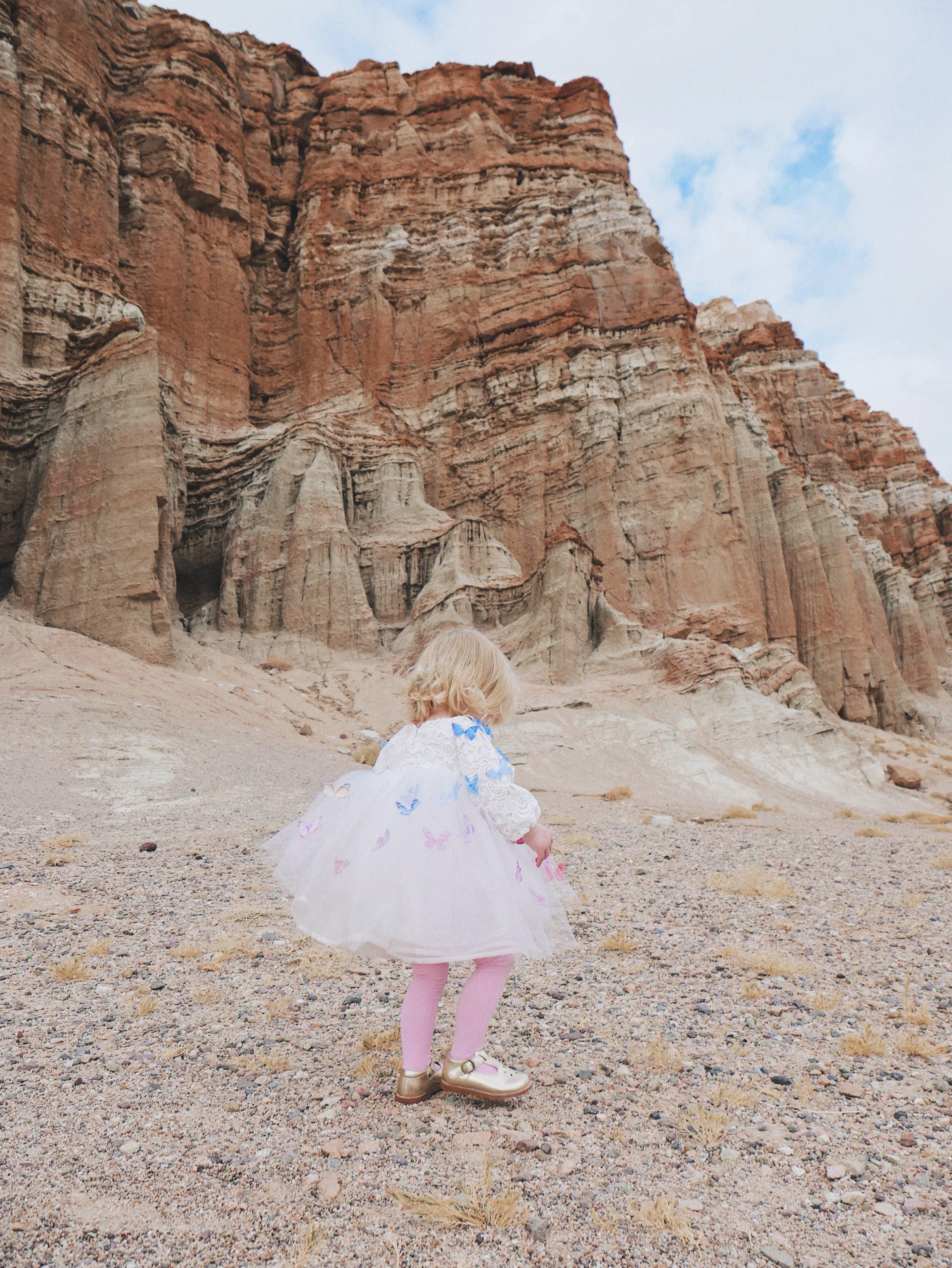 Lauren Elaine Rainbow Butterfly Bouquet Lace Ombré Flower Girl Dress