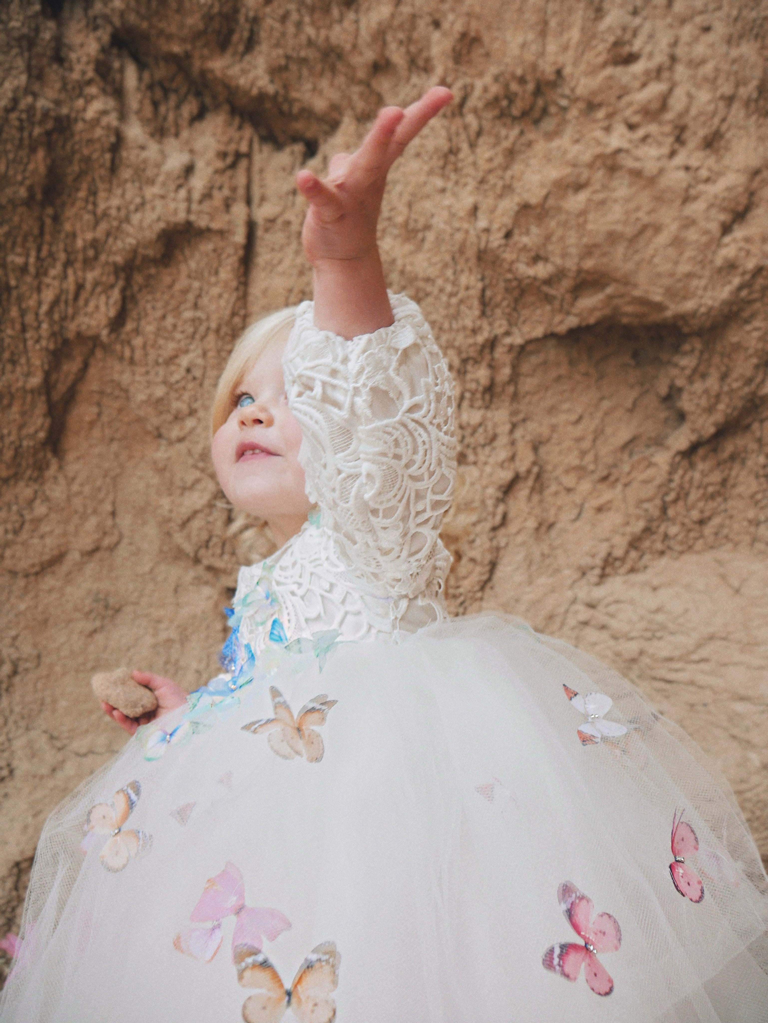 Lauren Elaine Rainbow Butterfly Bouquet Lace Ombré Flower Girl Dress