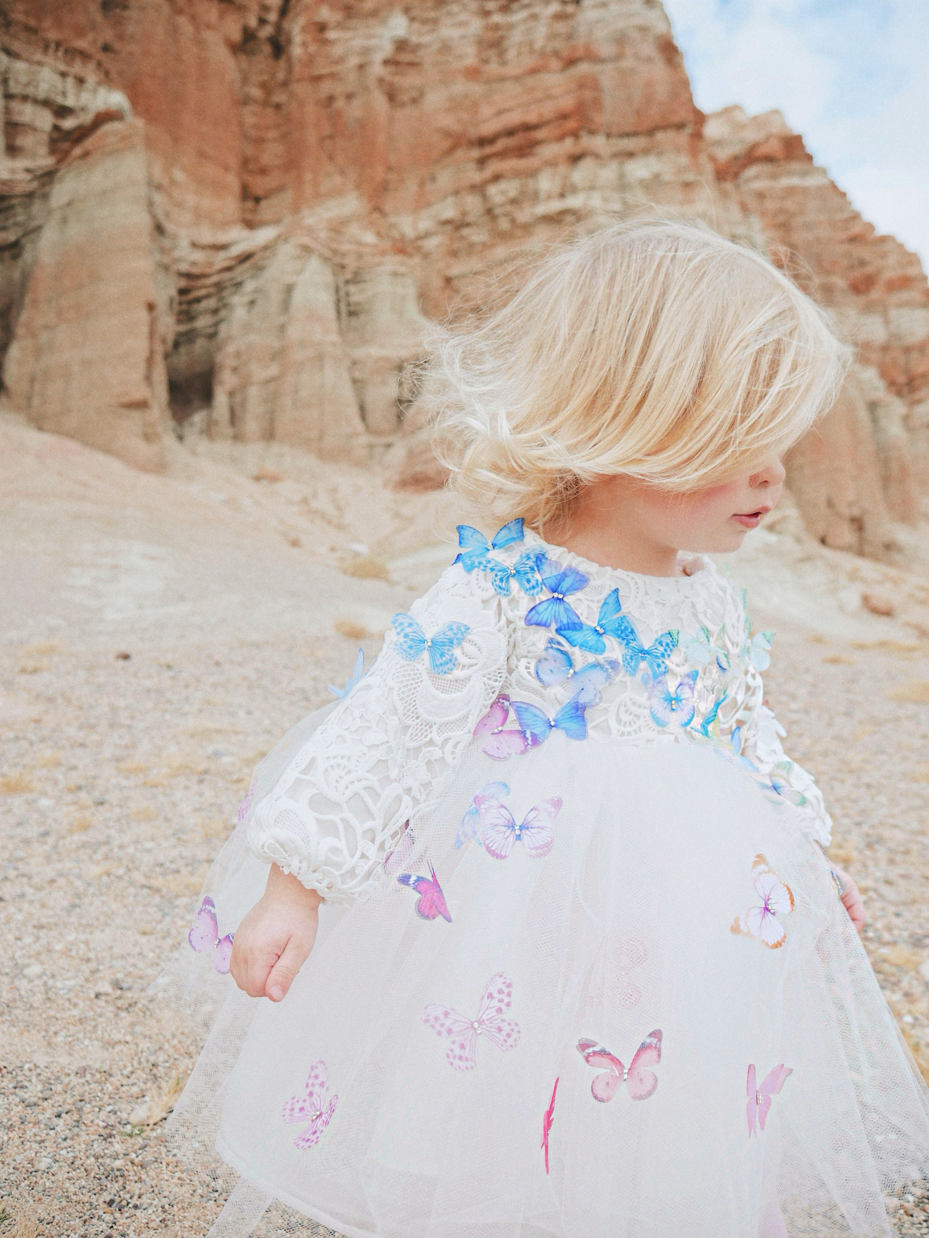 Lauren Elaine Rainbow Butterfly Bouquet Lace Ombré Flower Girl Dress