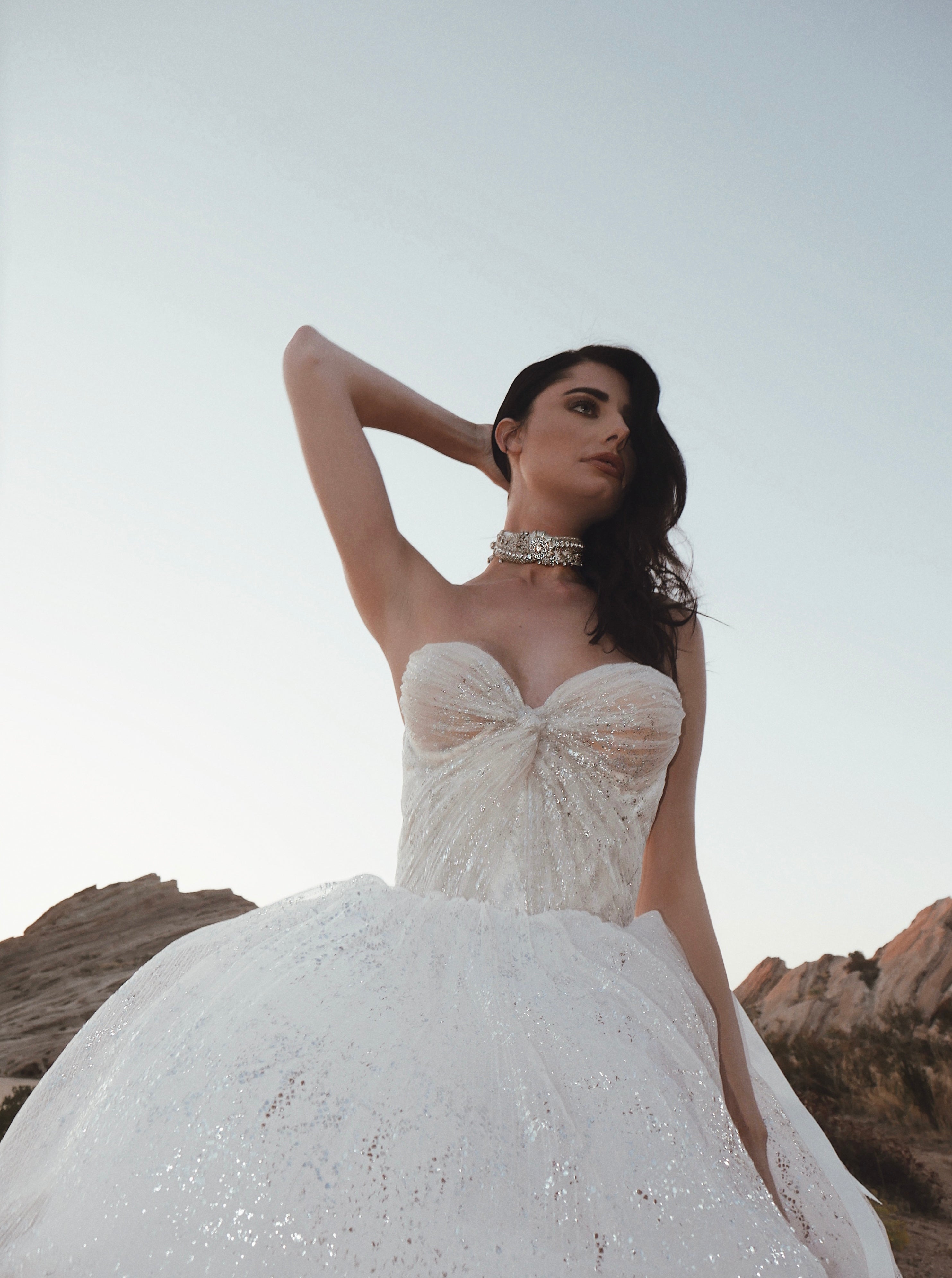 Starlight Crystal Bridal Choker