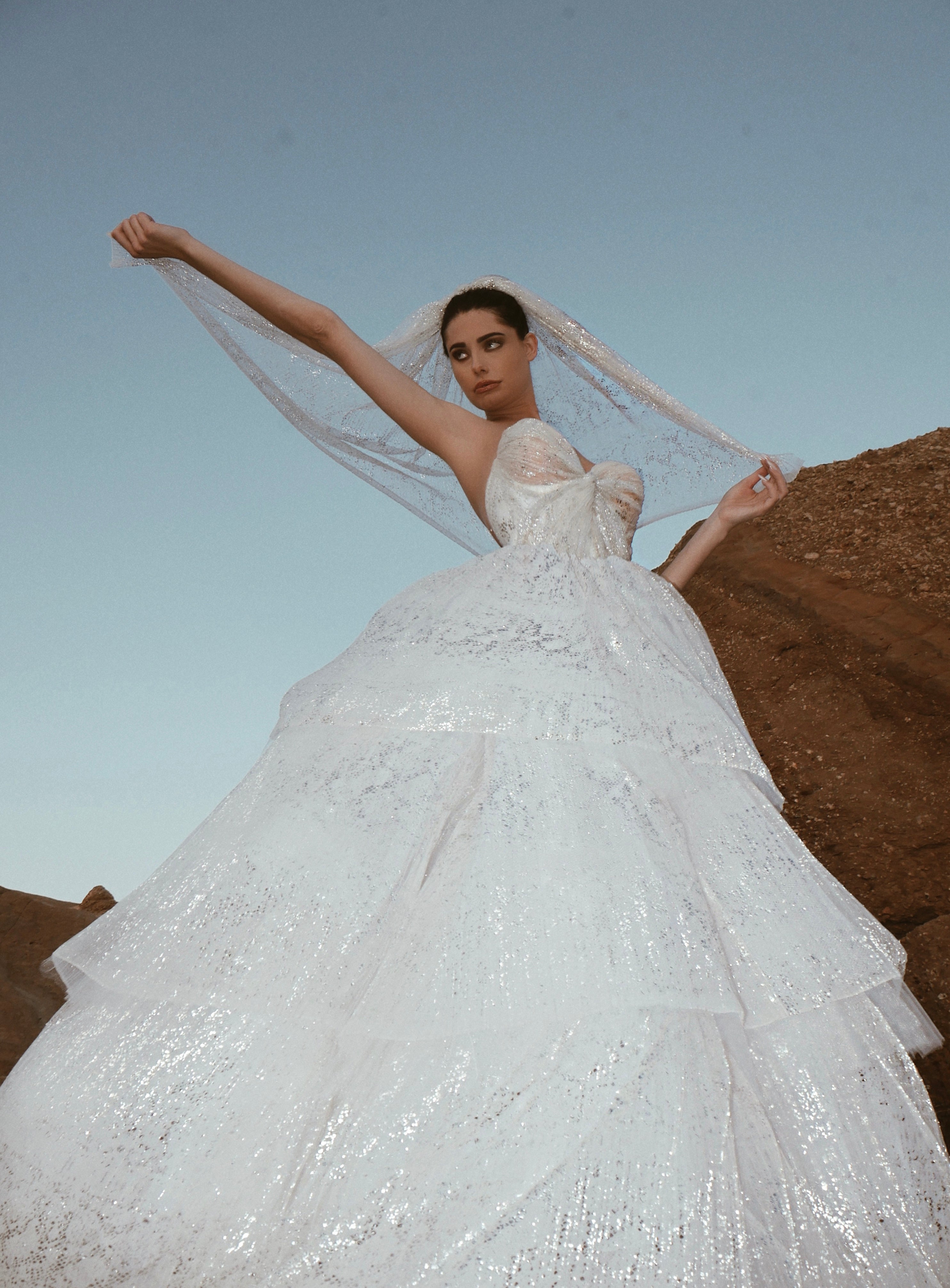Starlight Veil