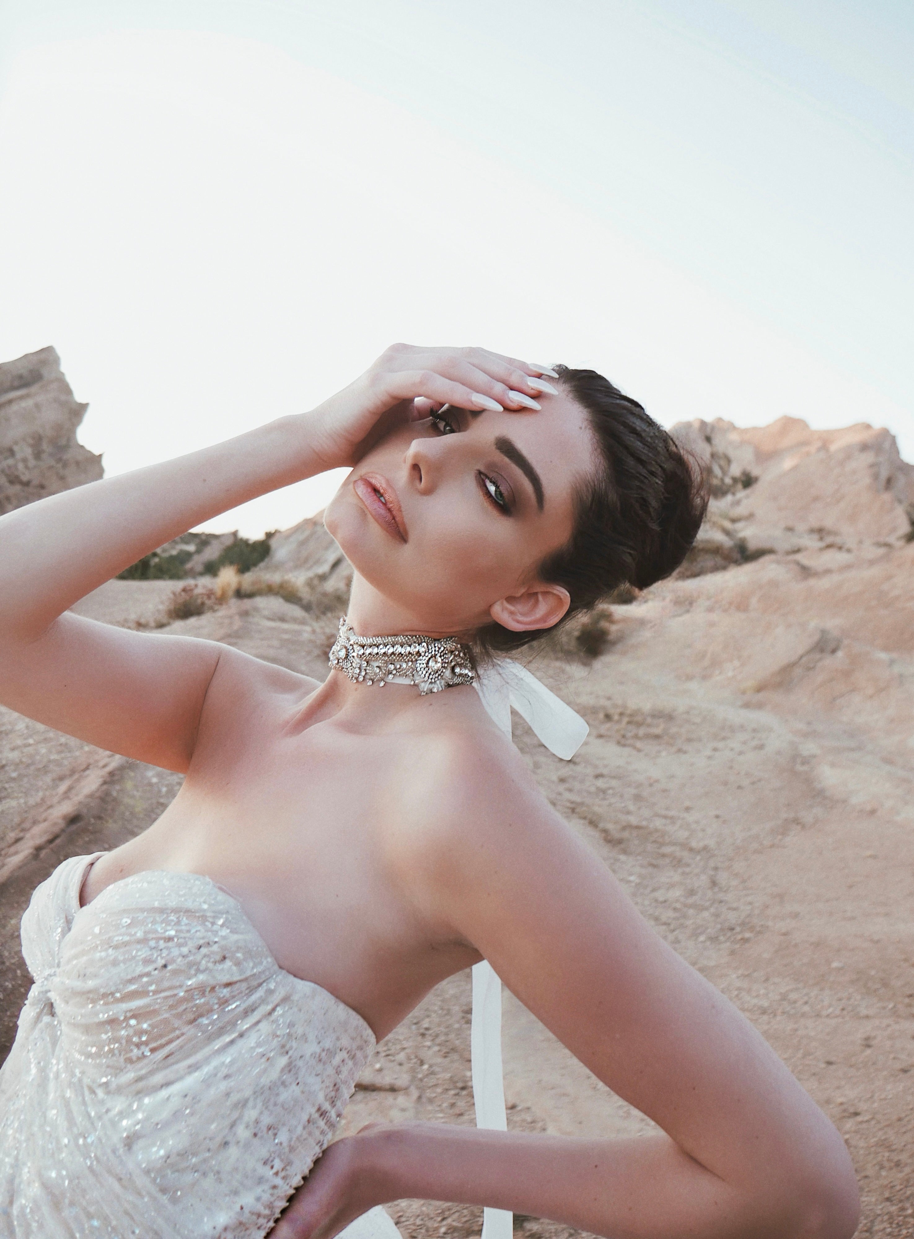 Starlight Crystal Bridal Choker