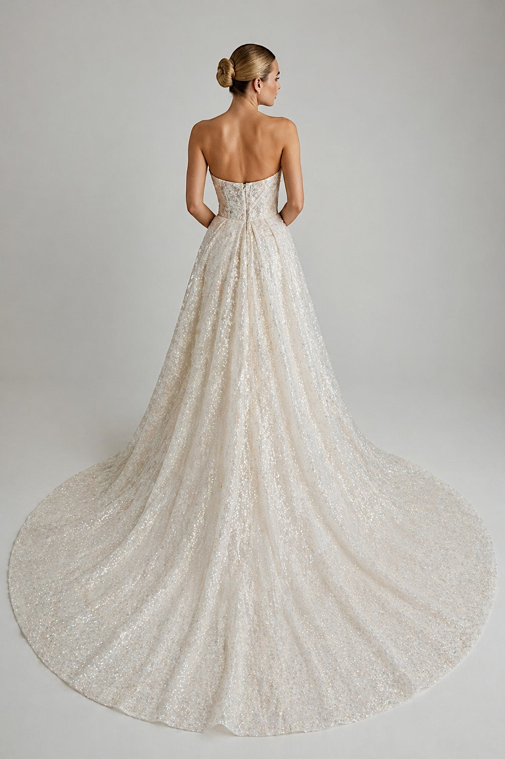 Sparkle glitter tulle princess wedding dress ball gown with train back view