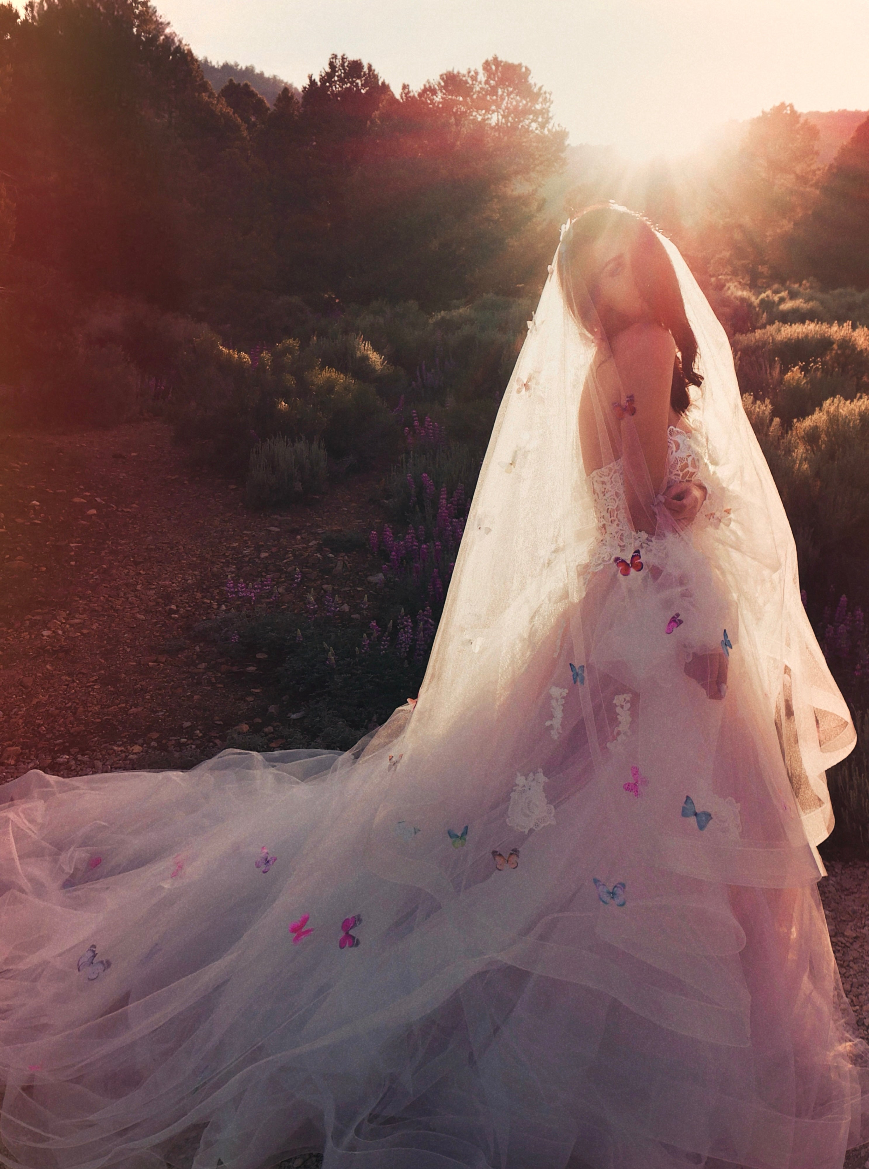 Ombre Rainbow Colorful Butterfly Wedding Veil