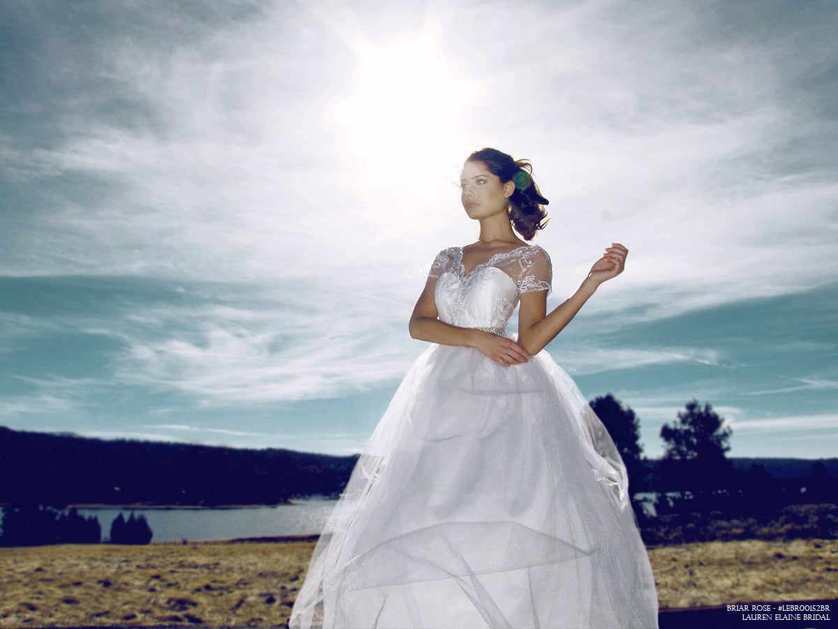 Tulle and chiffon A-line ball gown wedding gown with lace illusion overlay.