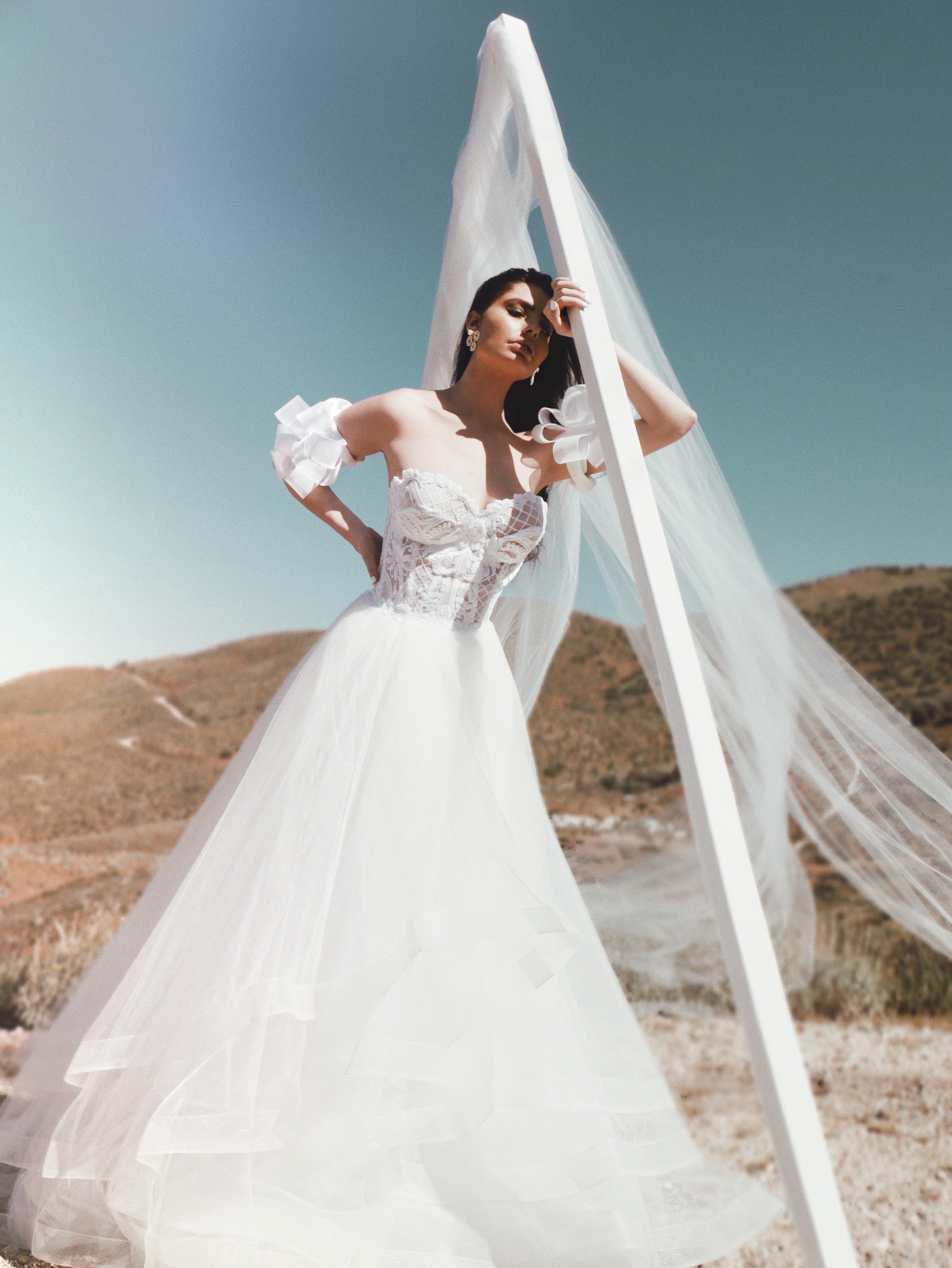 A line sequin wedding dress with tiered skirt with desert background