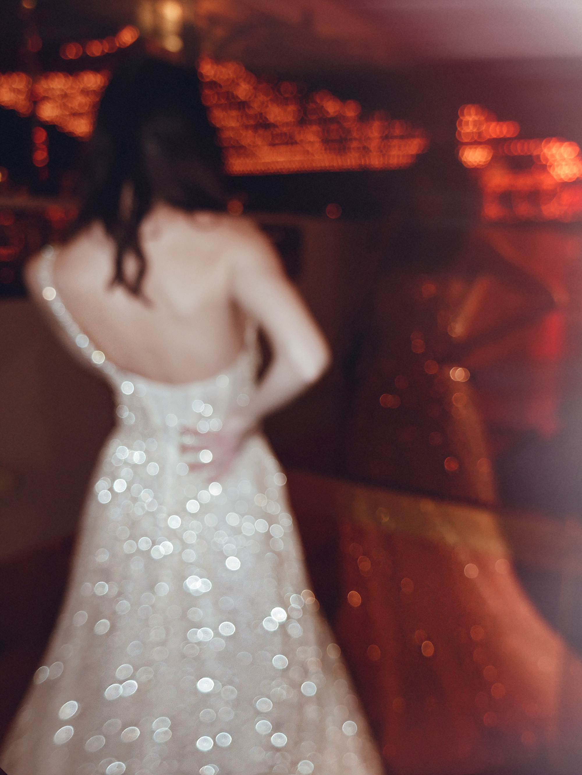 Lauren Elaine Prima wedding dress back.