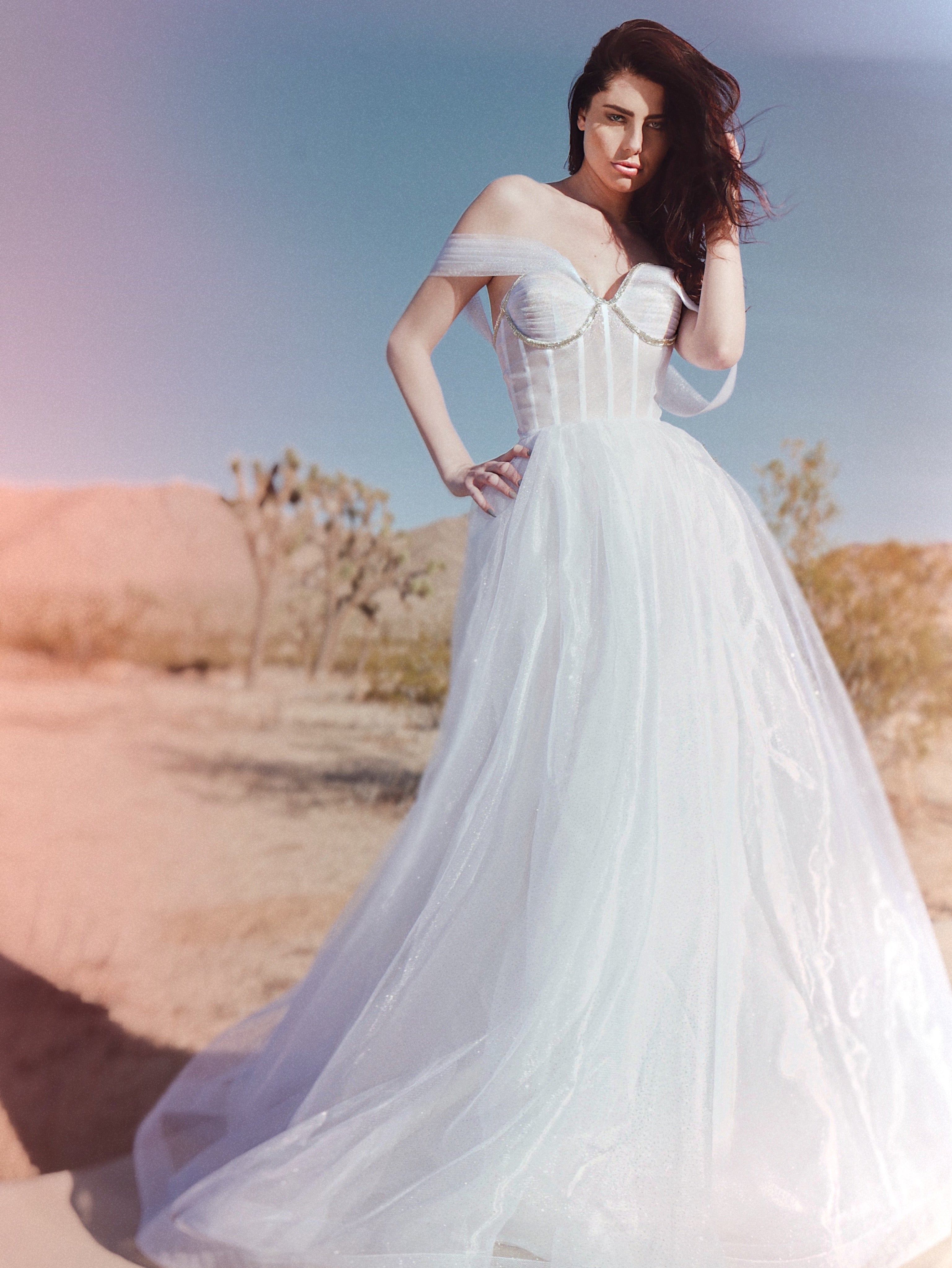 Glitter tulle wedding dress with off the shoulder straps shot in Joshua Tree