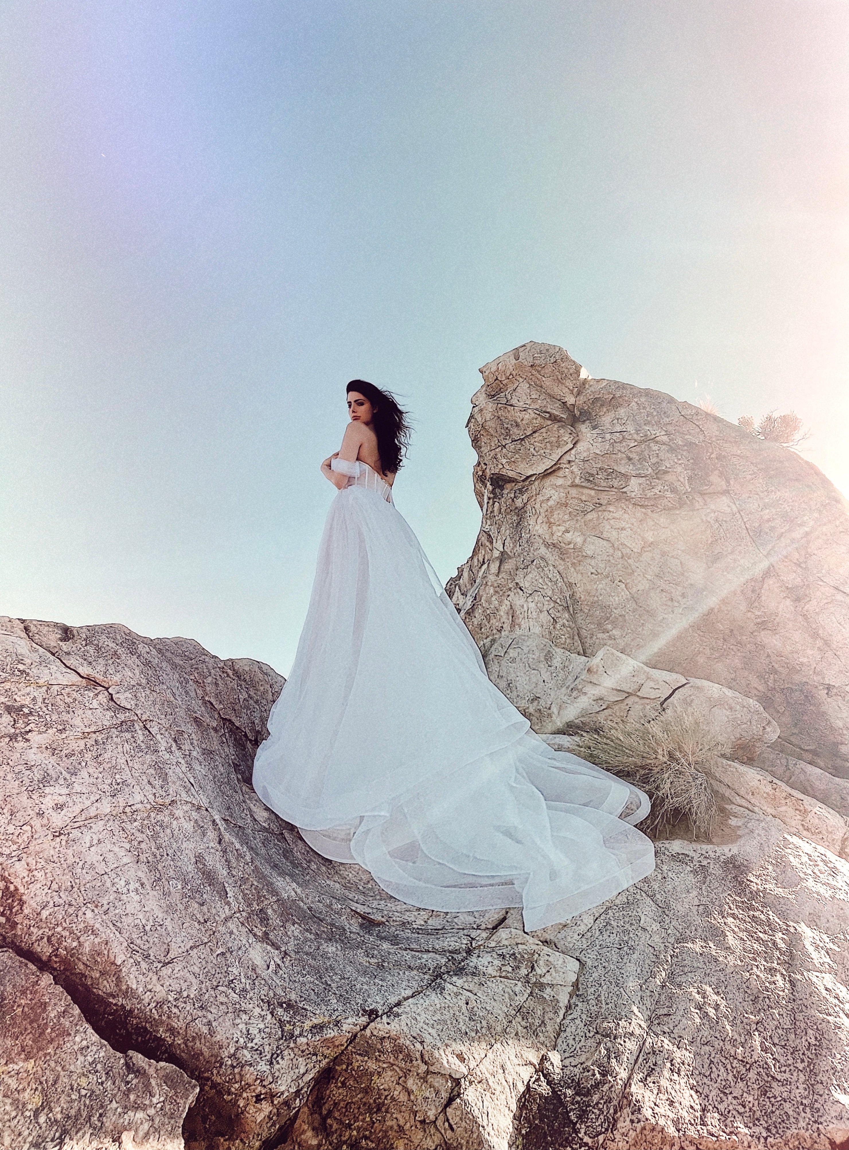 Sparkle wedding dress with sleeves and long train shot on rocks