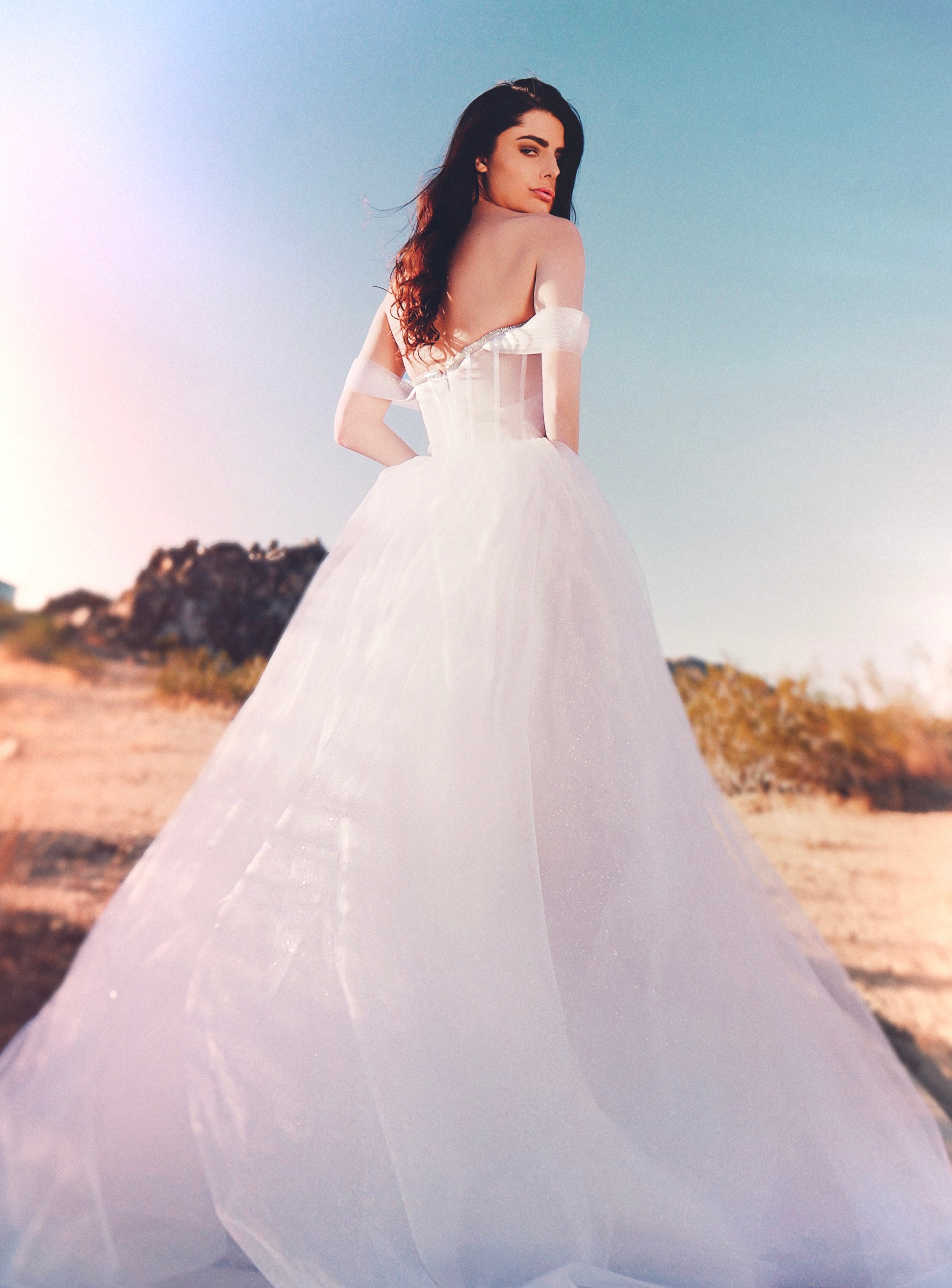Back shot of simple organza ball gown wedding dress