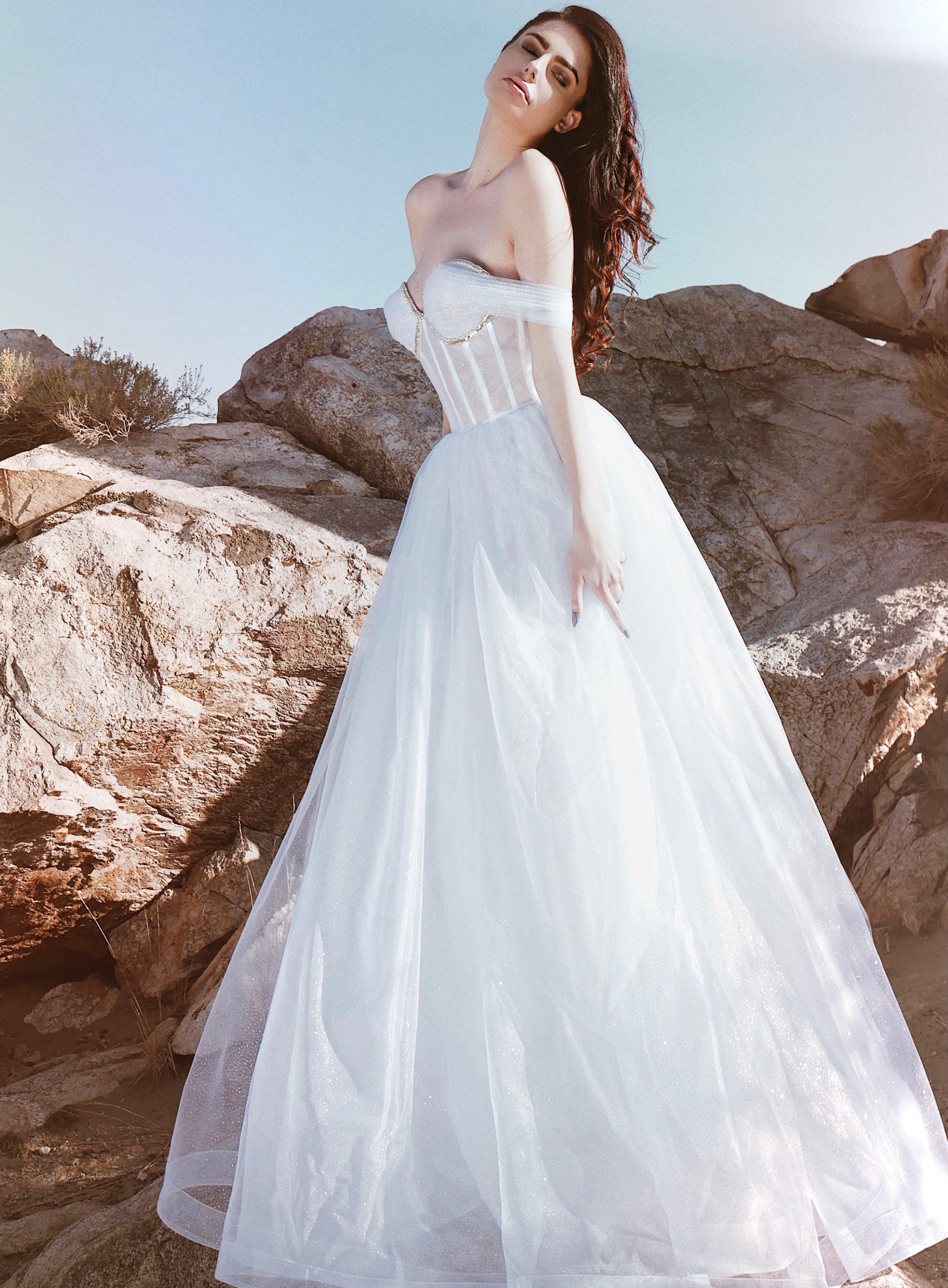 Sparkle tulle wedding dress with off the shoulder sleeves shot at Vasquez Rock