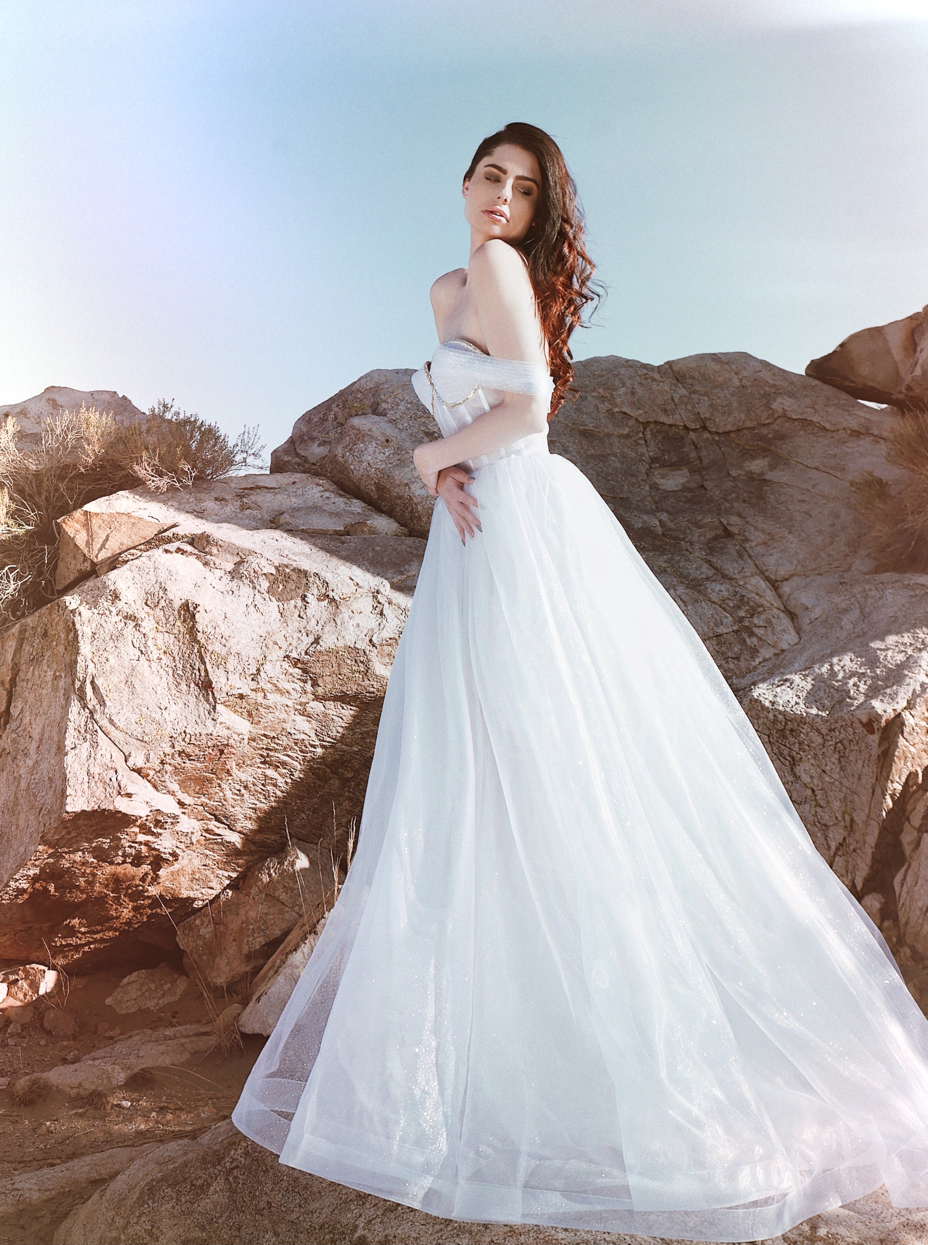 Organza ball gown wedding dress shot in desert