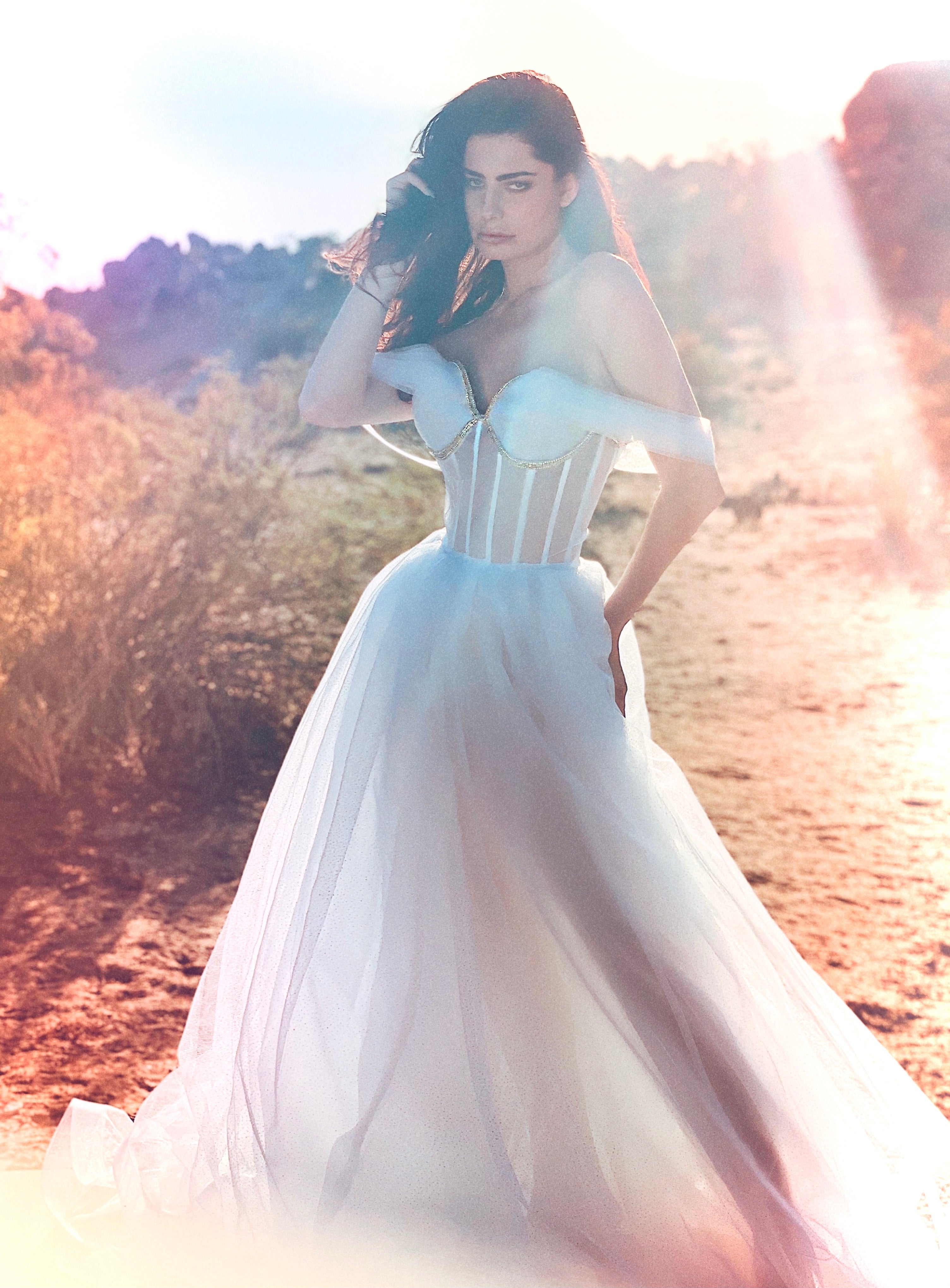 Ballgown wedding dress with illusion neckline and skirt shot in desert