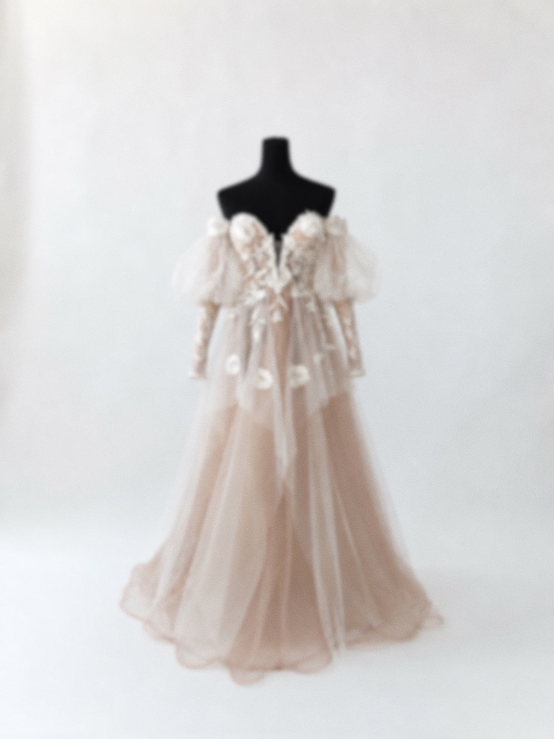 Arrowyn ethereal wedding dress displayed on mannequin with illusion corset and detachable sleeves.