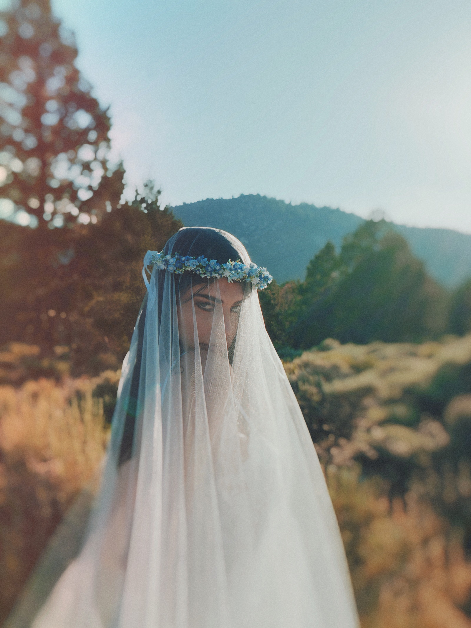 A Bride poses in a field of wildflowers wearing a blusher tulle veil by Lauren Elaine