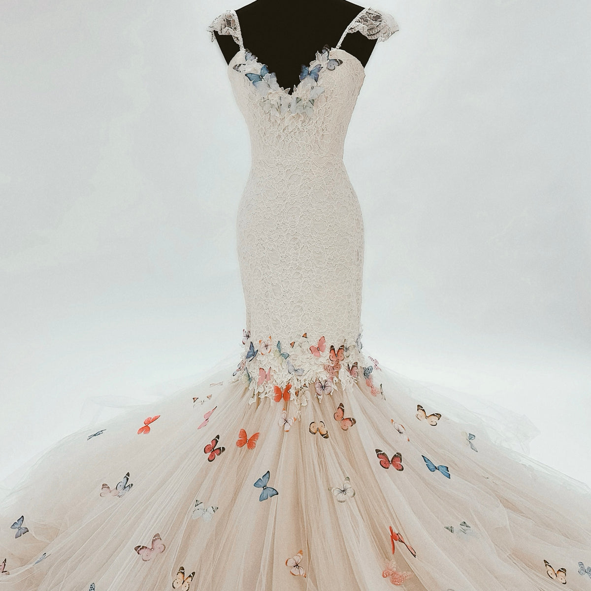images of lace wedding dresses V-Neck Lace Short-Sleeved A-Line Tulle Bridal Dress main image 1