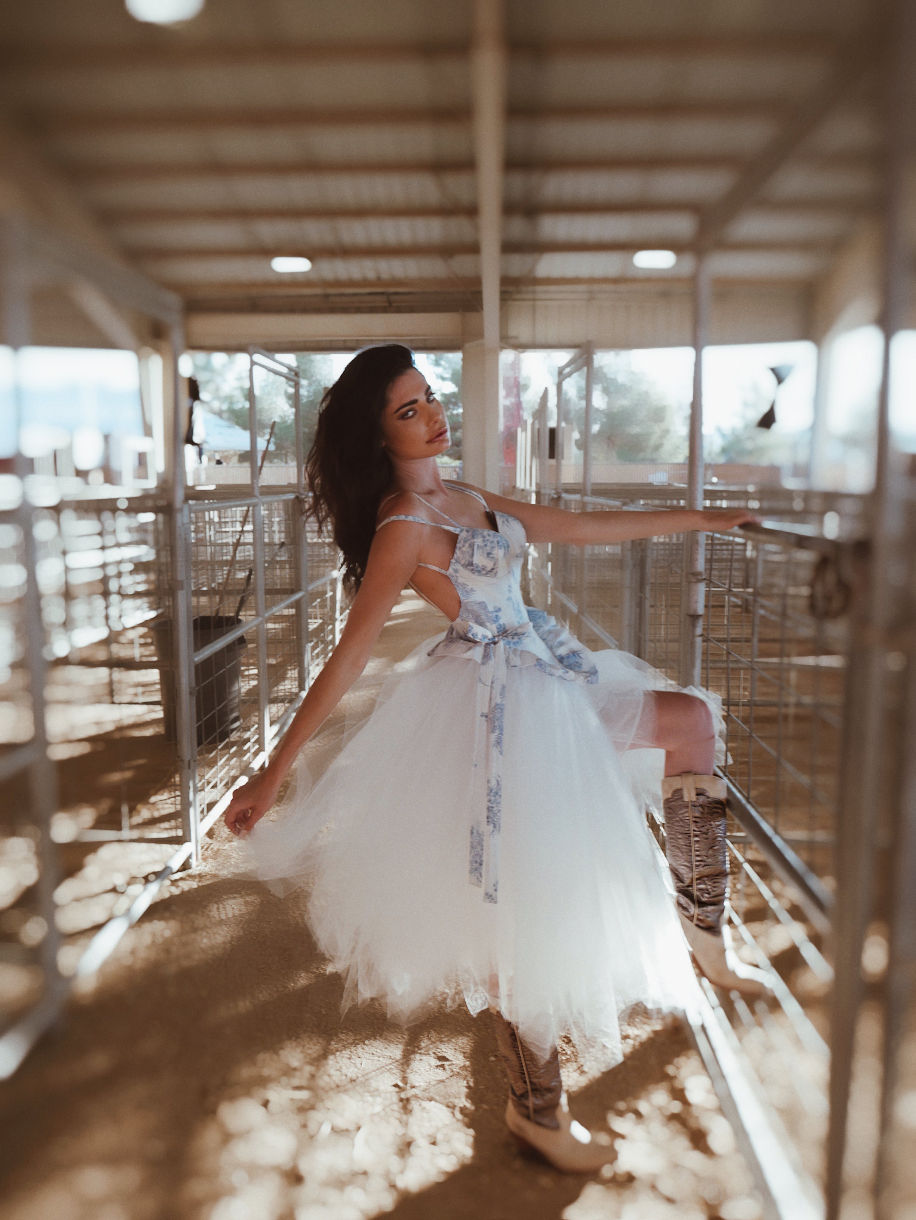 Lauren Elaine Provencia Western Cowgirl Boho Chic Blue Toile Wedding Dress