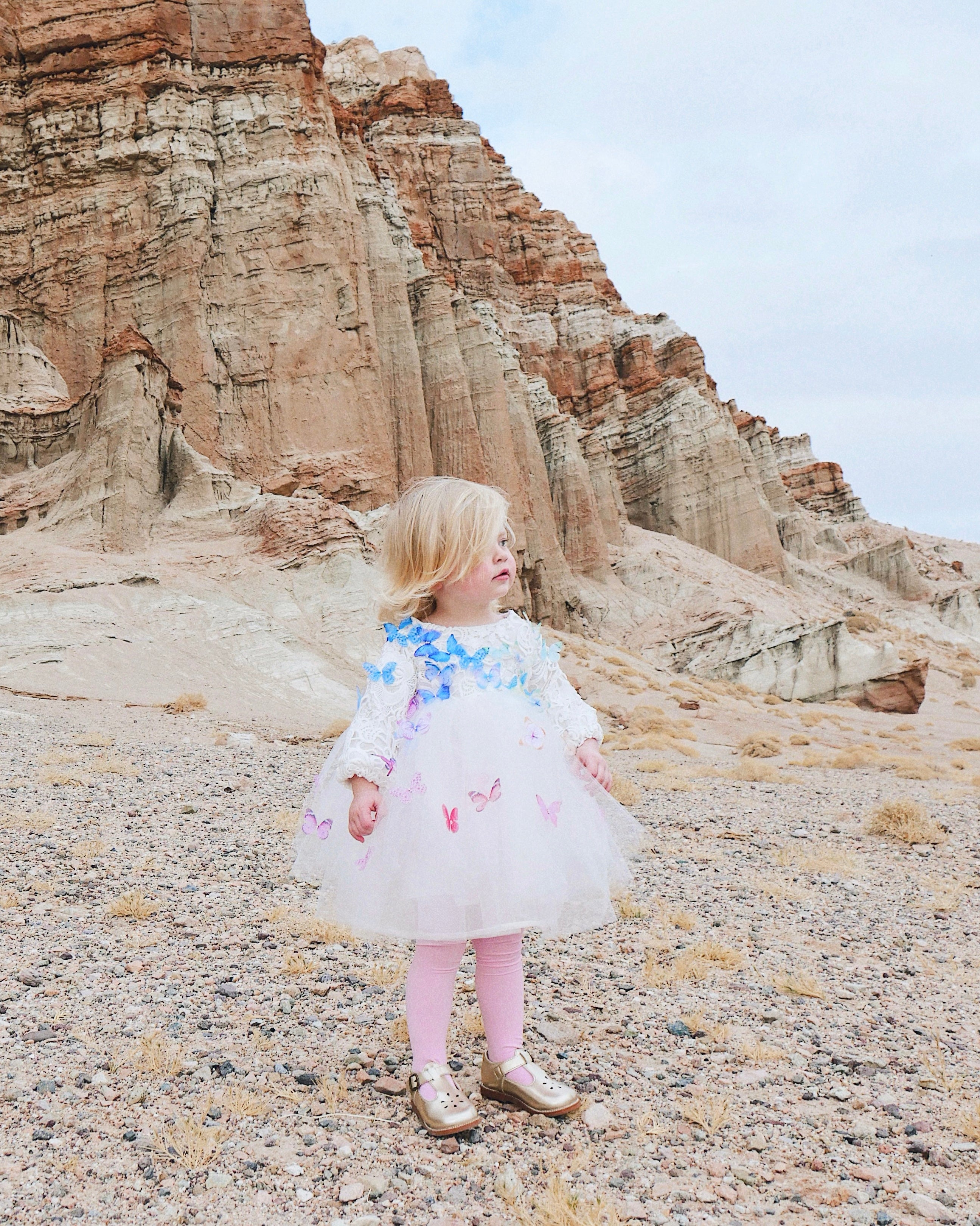 Fairytale princess dresses fro little girls by Lauren Elaine Bridal 