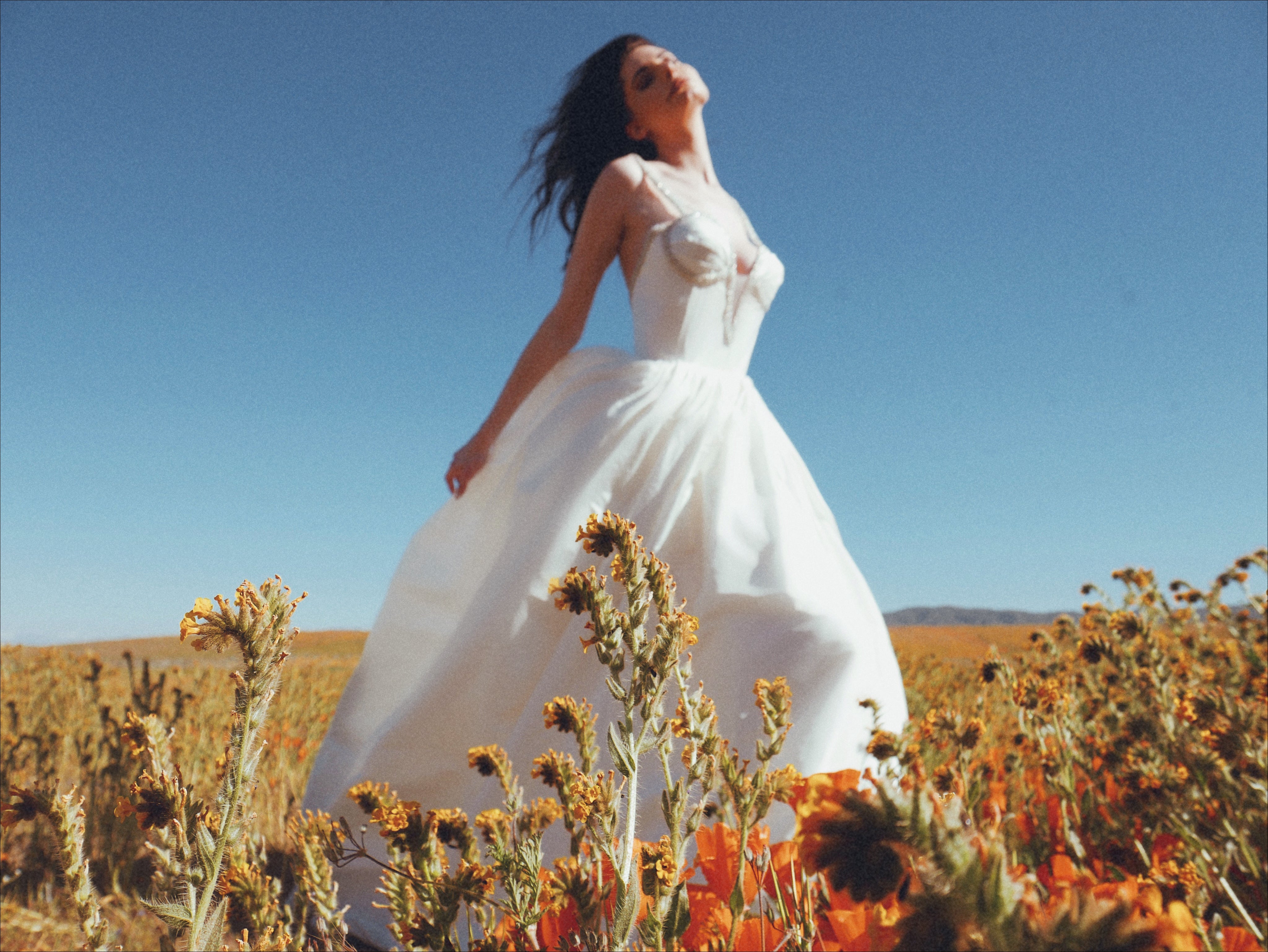 A model wears a romantic silk taffeta ball gown wedding dress in a field of poppies