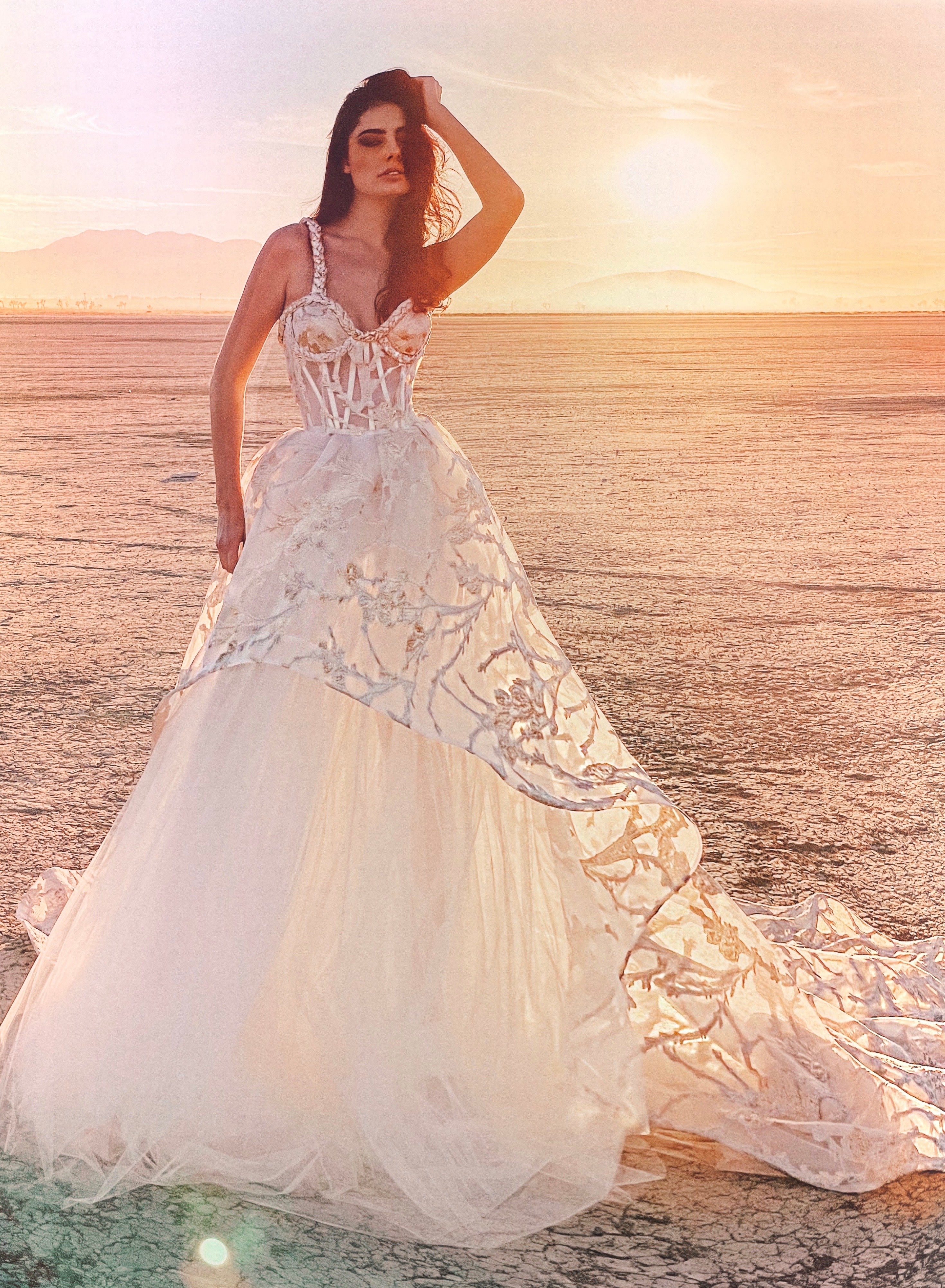 Organza ball gown wedding dress with sunset in desert