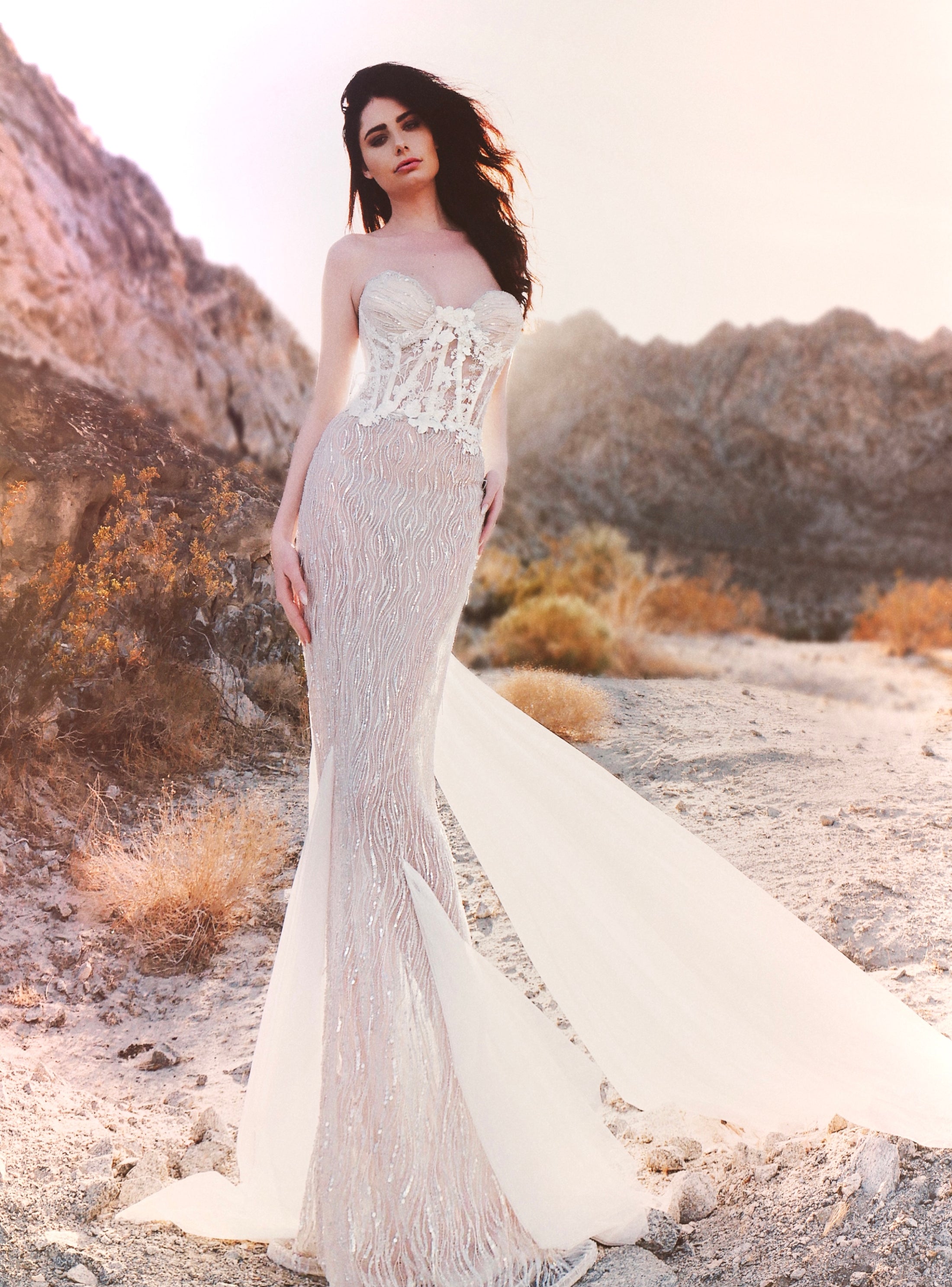 Lauren Elaine Whisper Crystal Nude Illusion Bustier Trumpet Gown