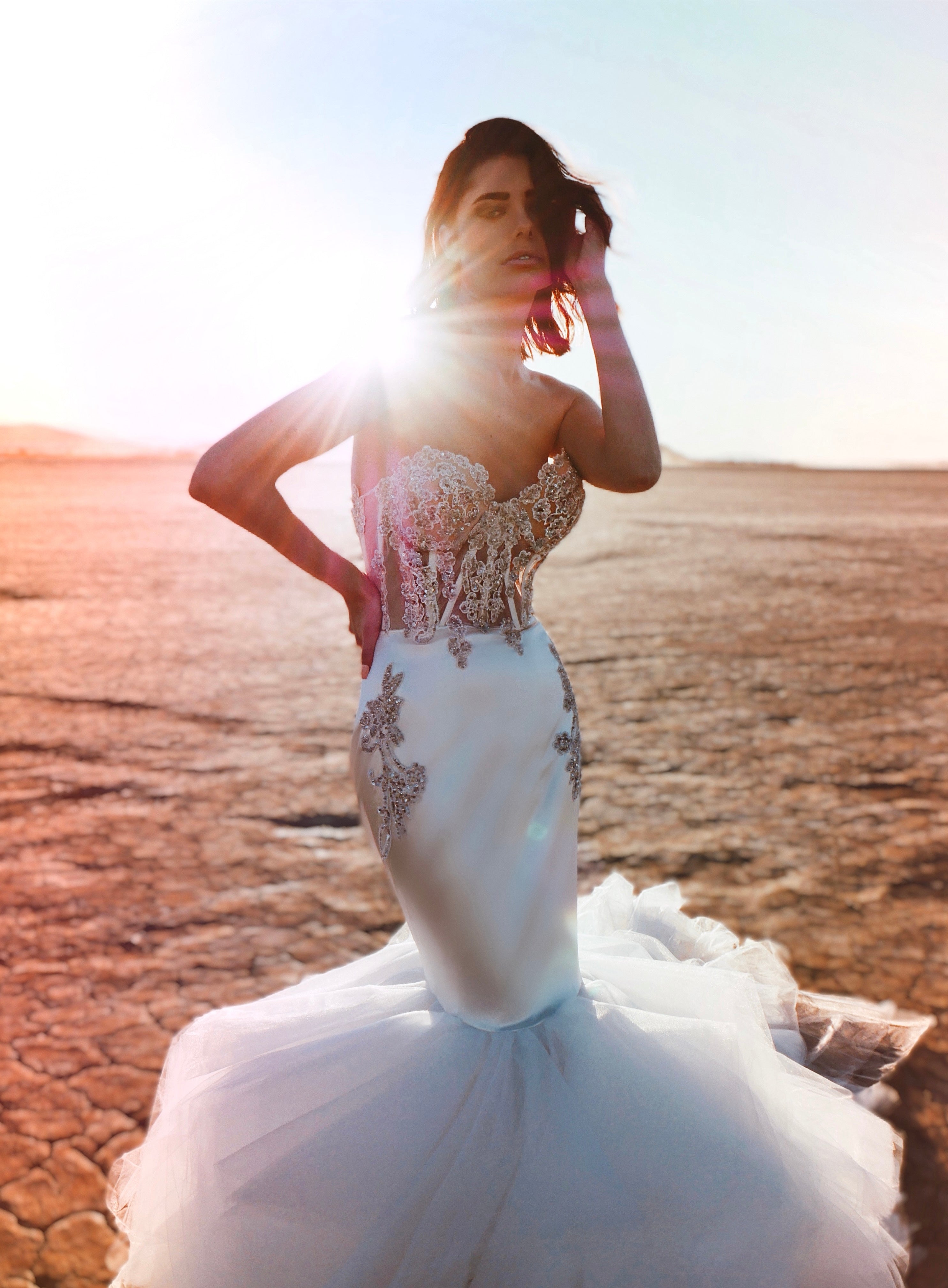 Auray Sparkling Crystal-Embellished Wedding Dress – Blini Fashion House